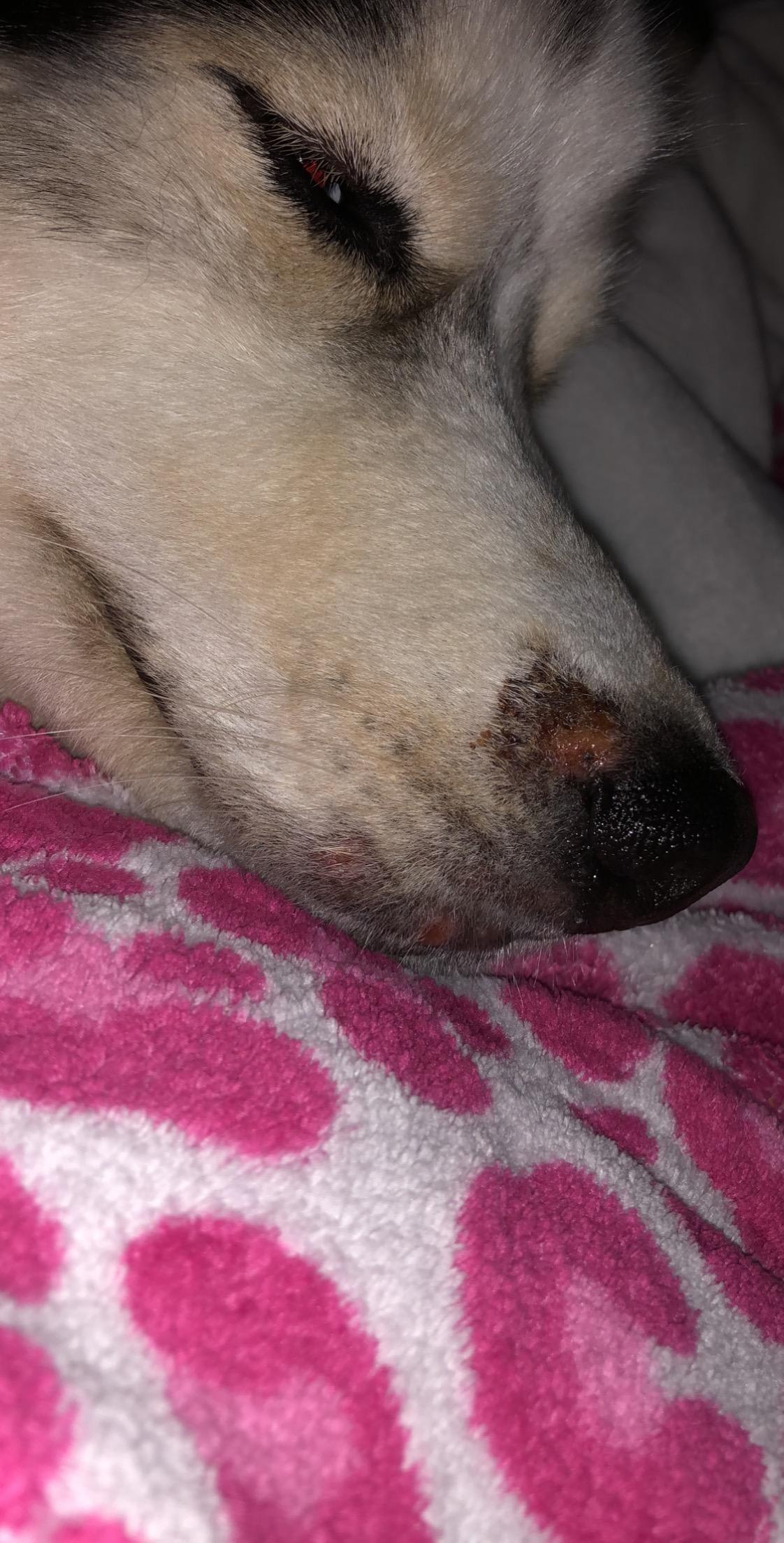 Question details sensitive content