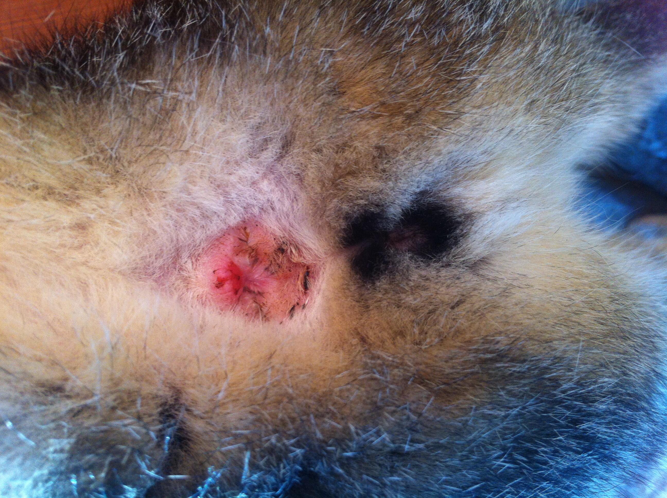 Question details sensitive content