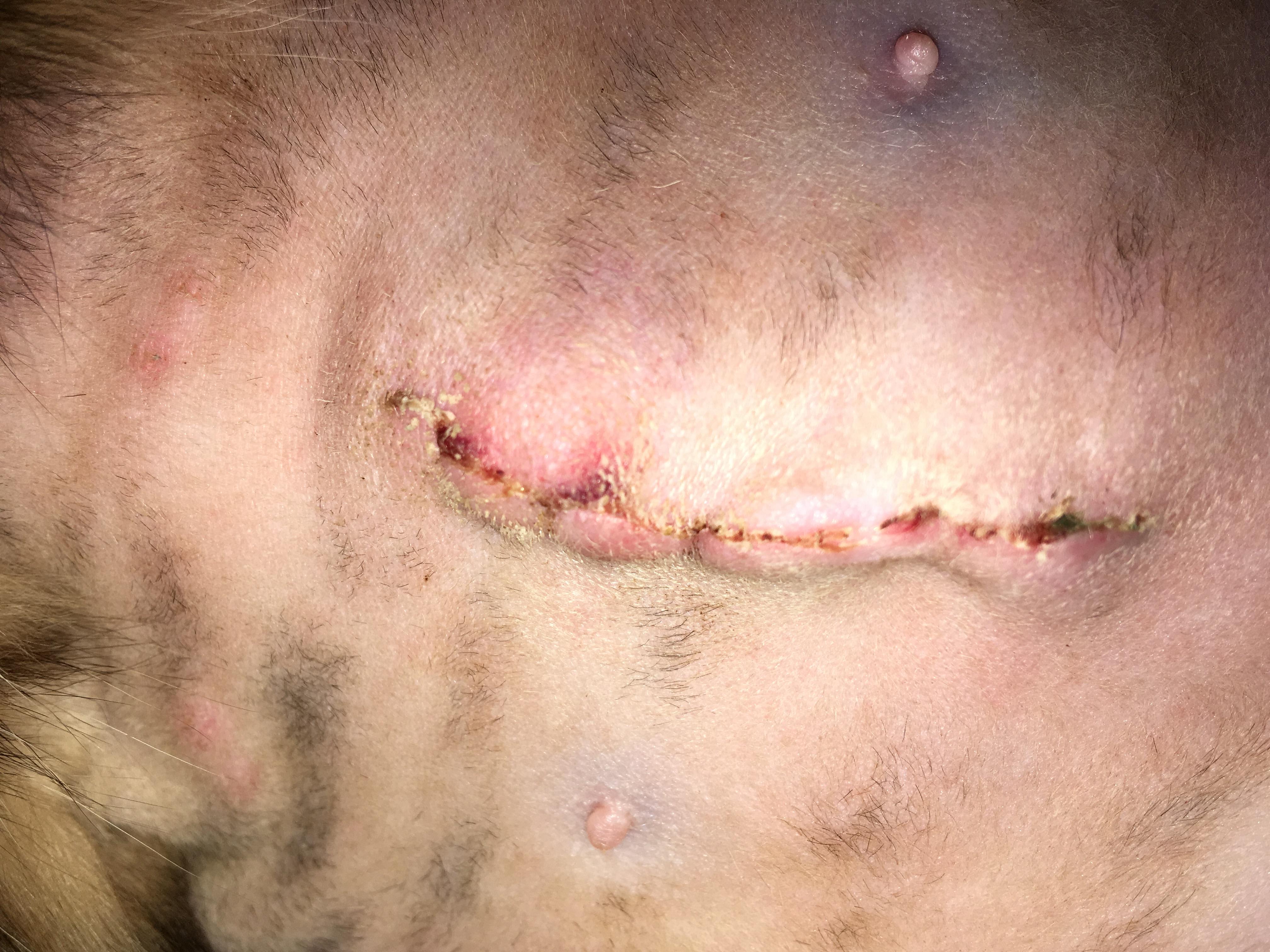 Question details sensitive content