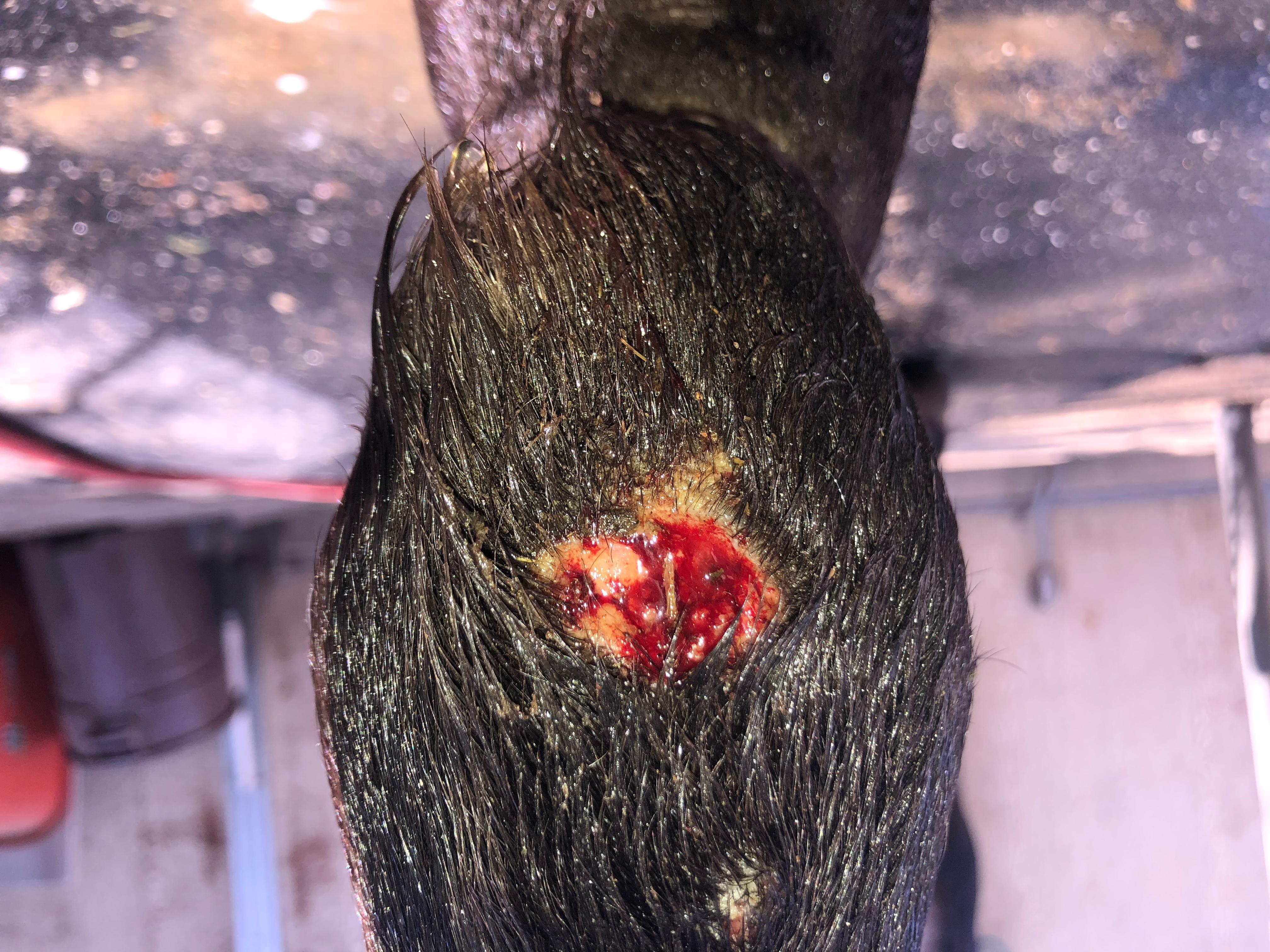 Question details sensitive content