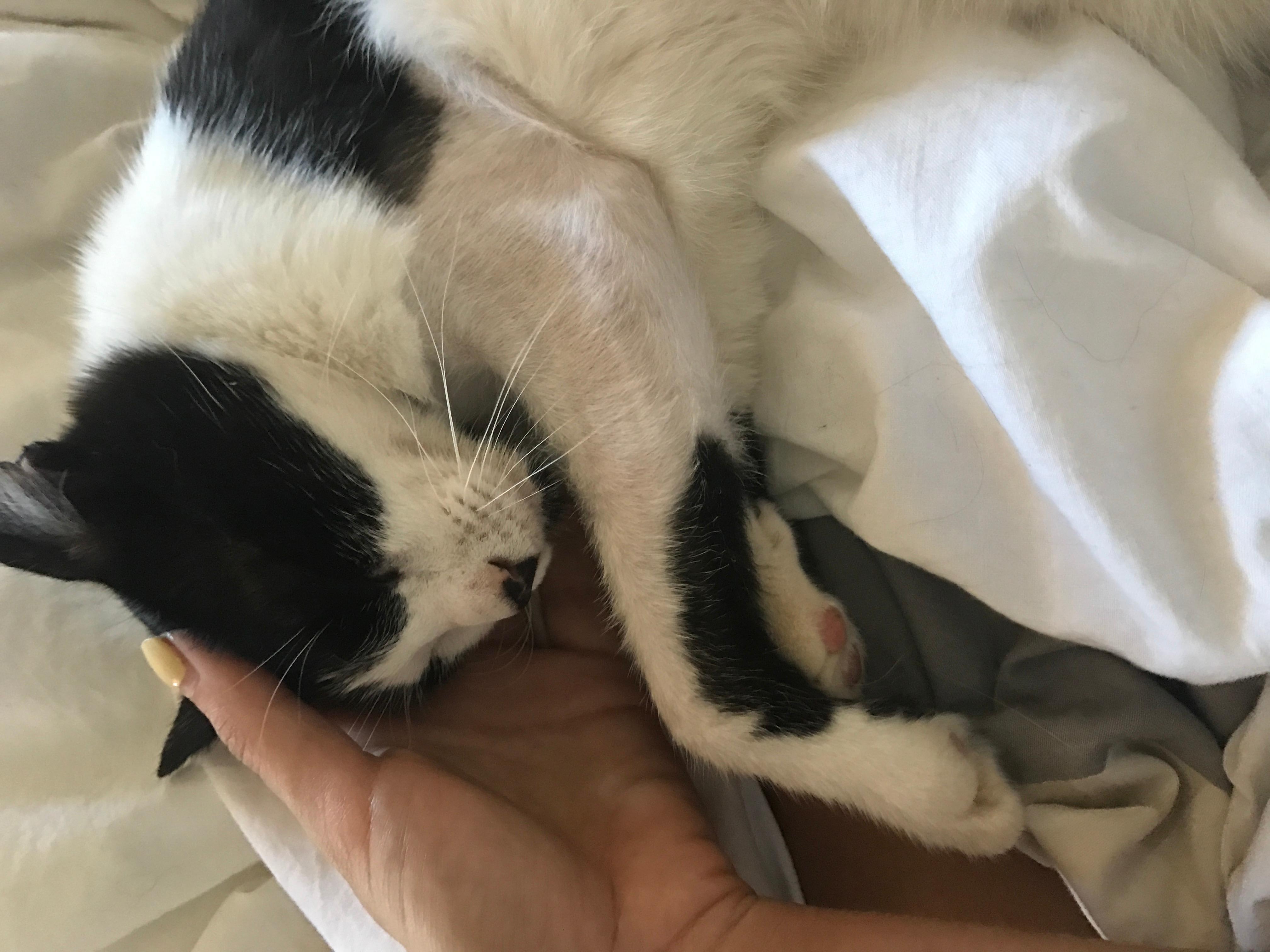 Question details sensitive content