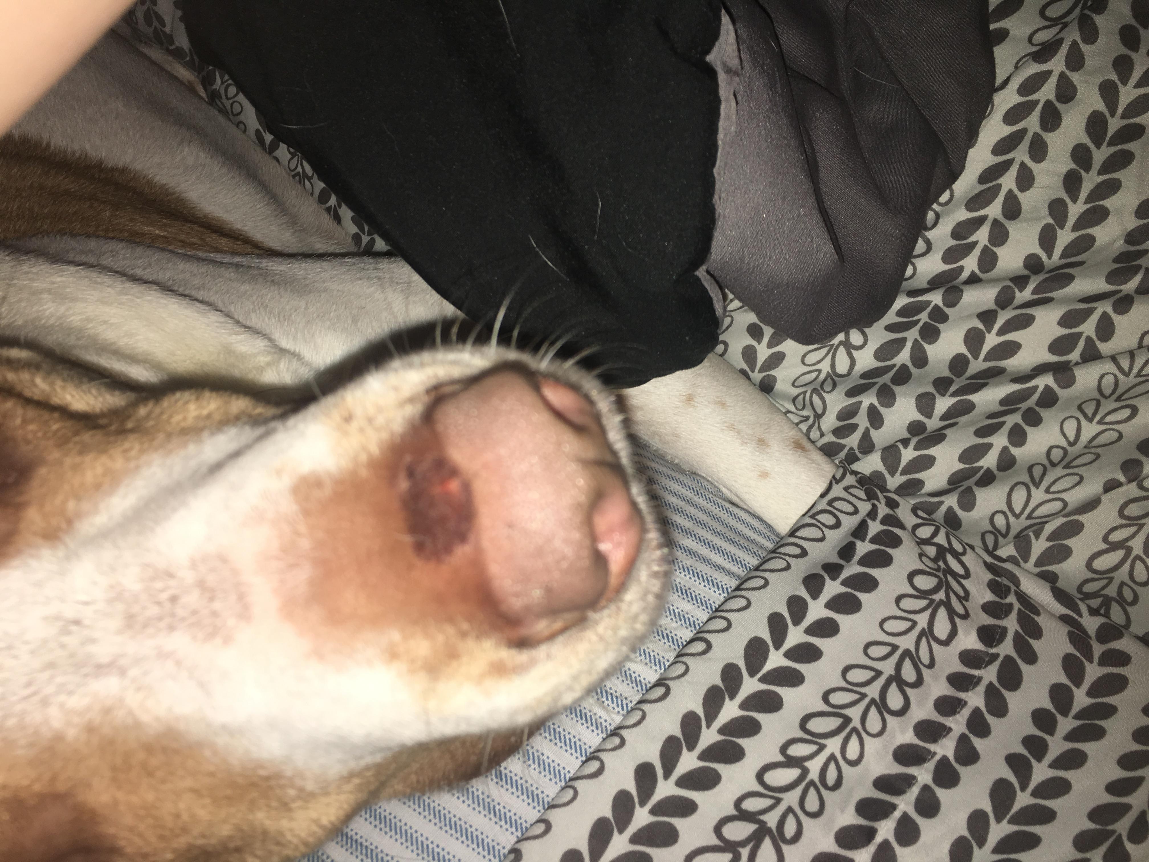 Question details sensitive content