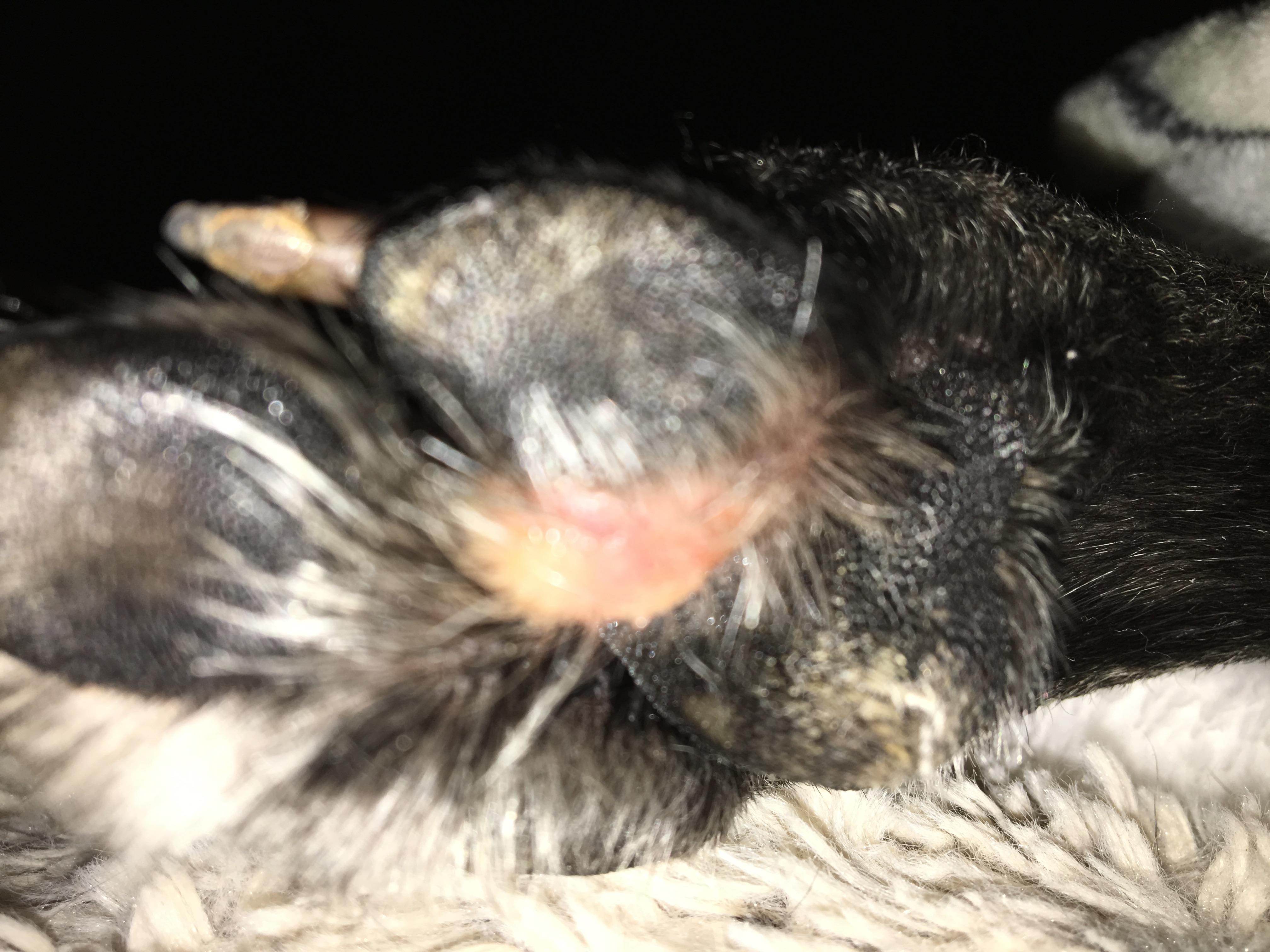 Question details sensitive content