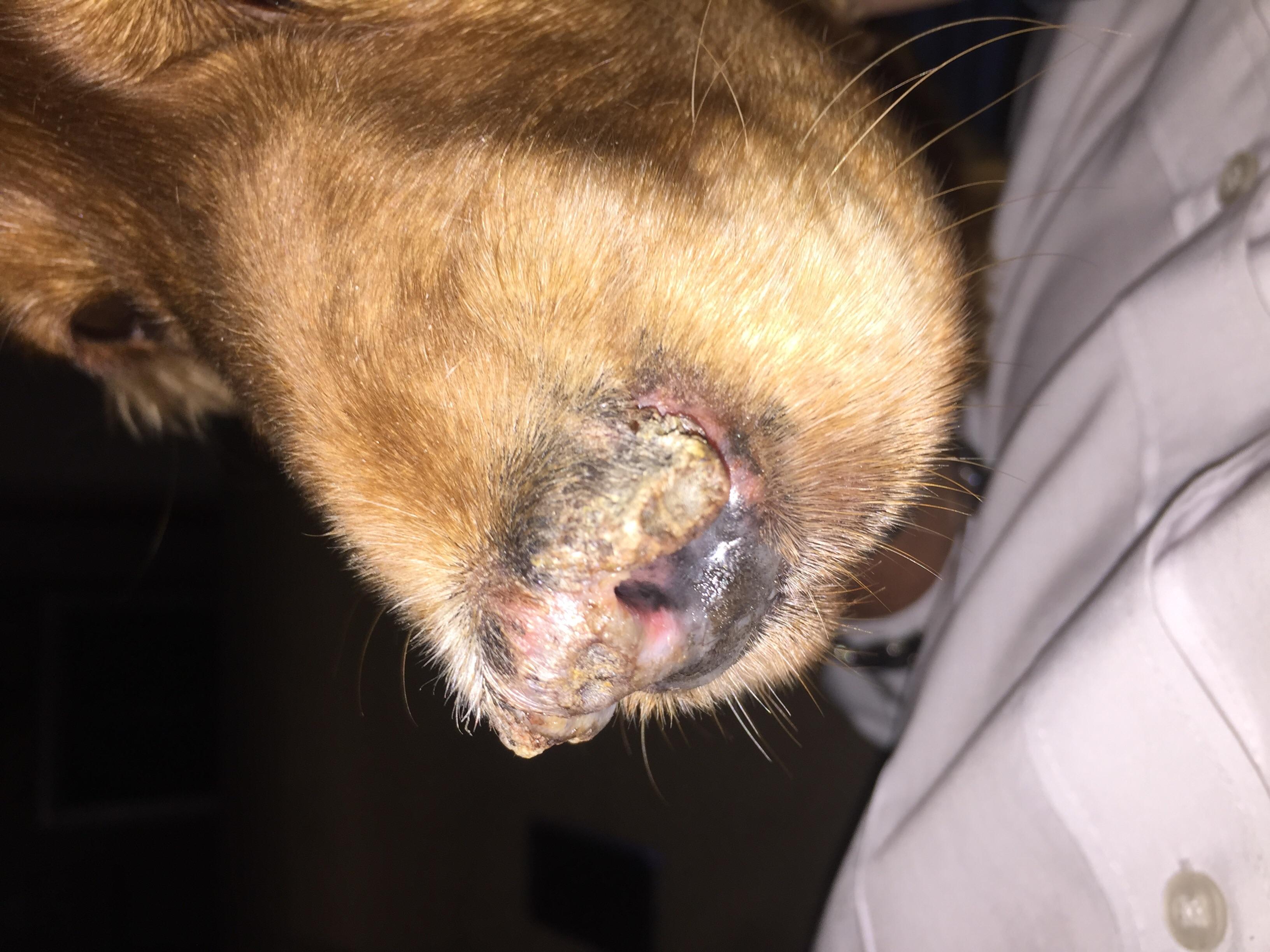 Question details sensitive content