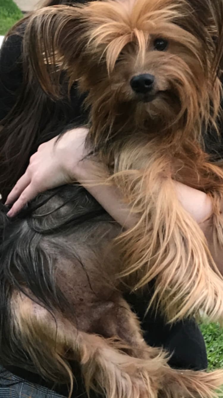 Question details sensitive content