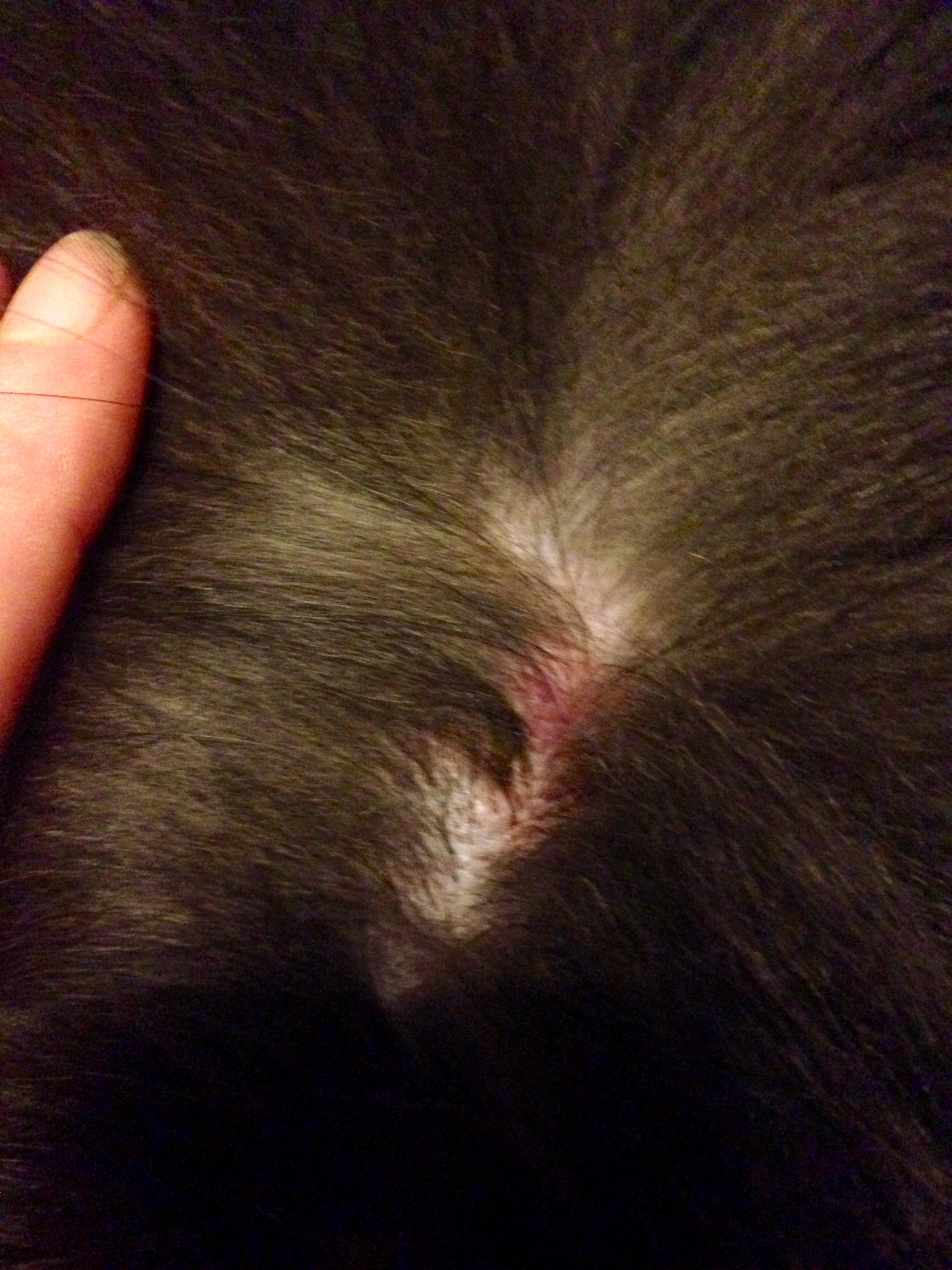 Question details sensitive content