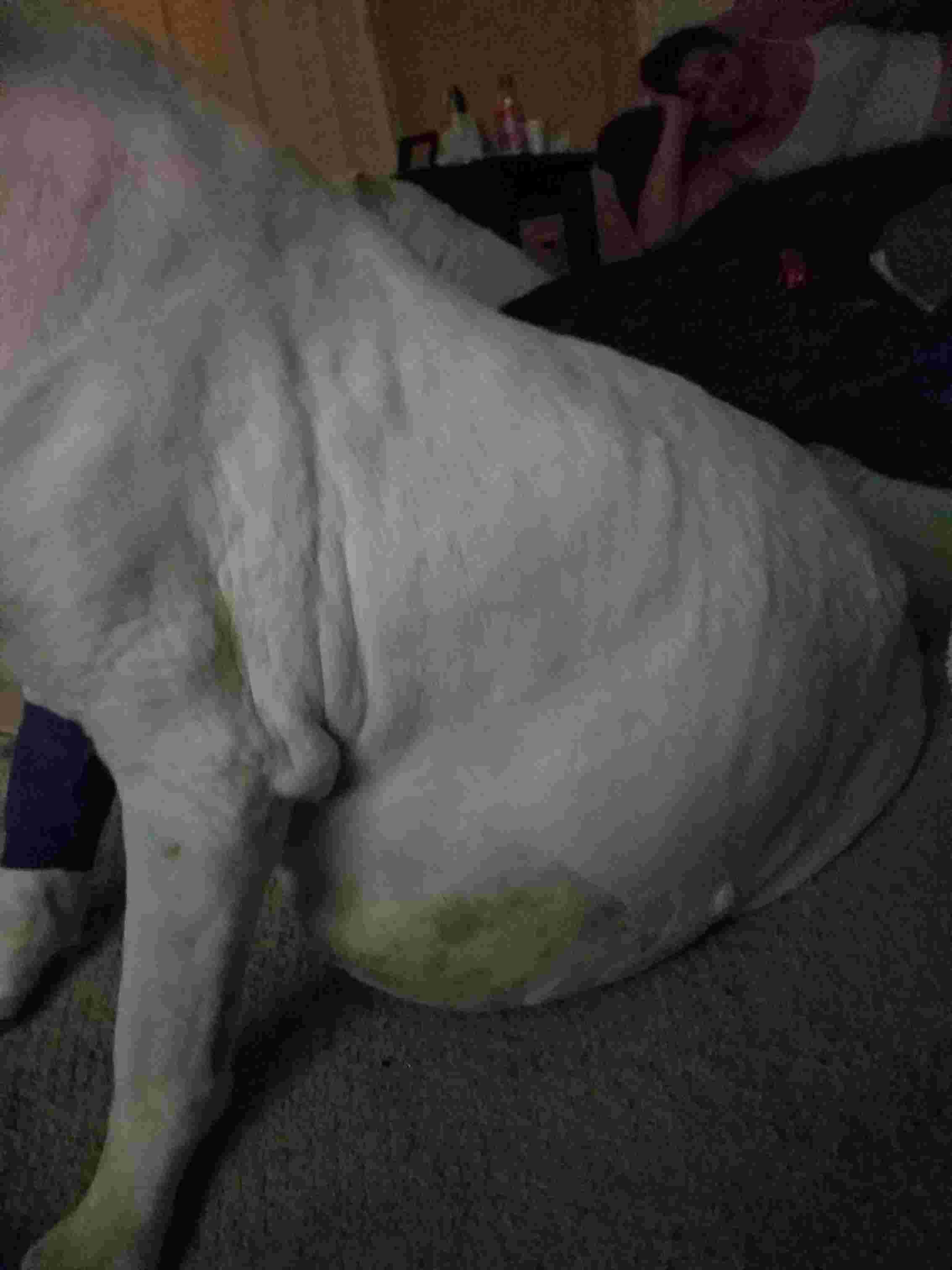 Question details sensitive content