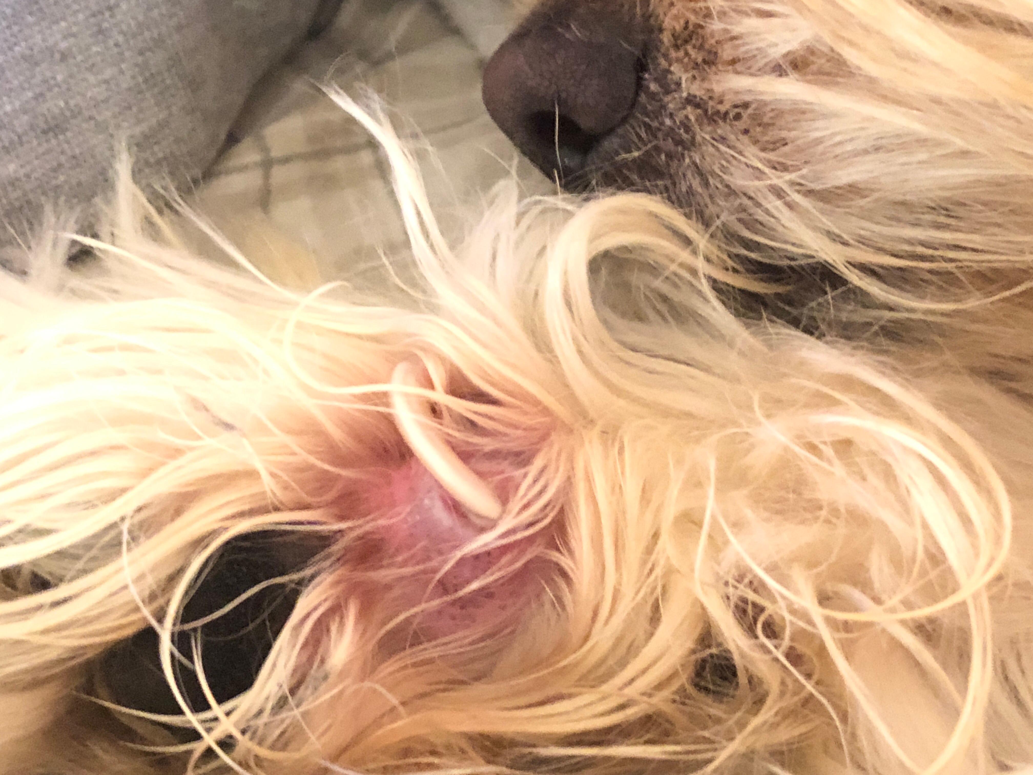 Question details sensitive content