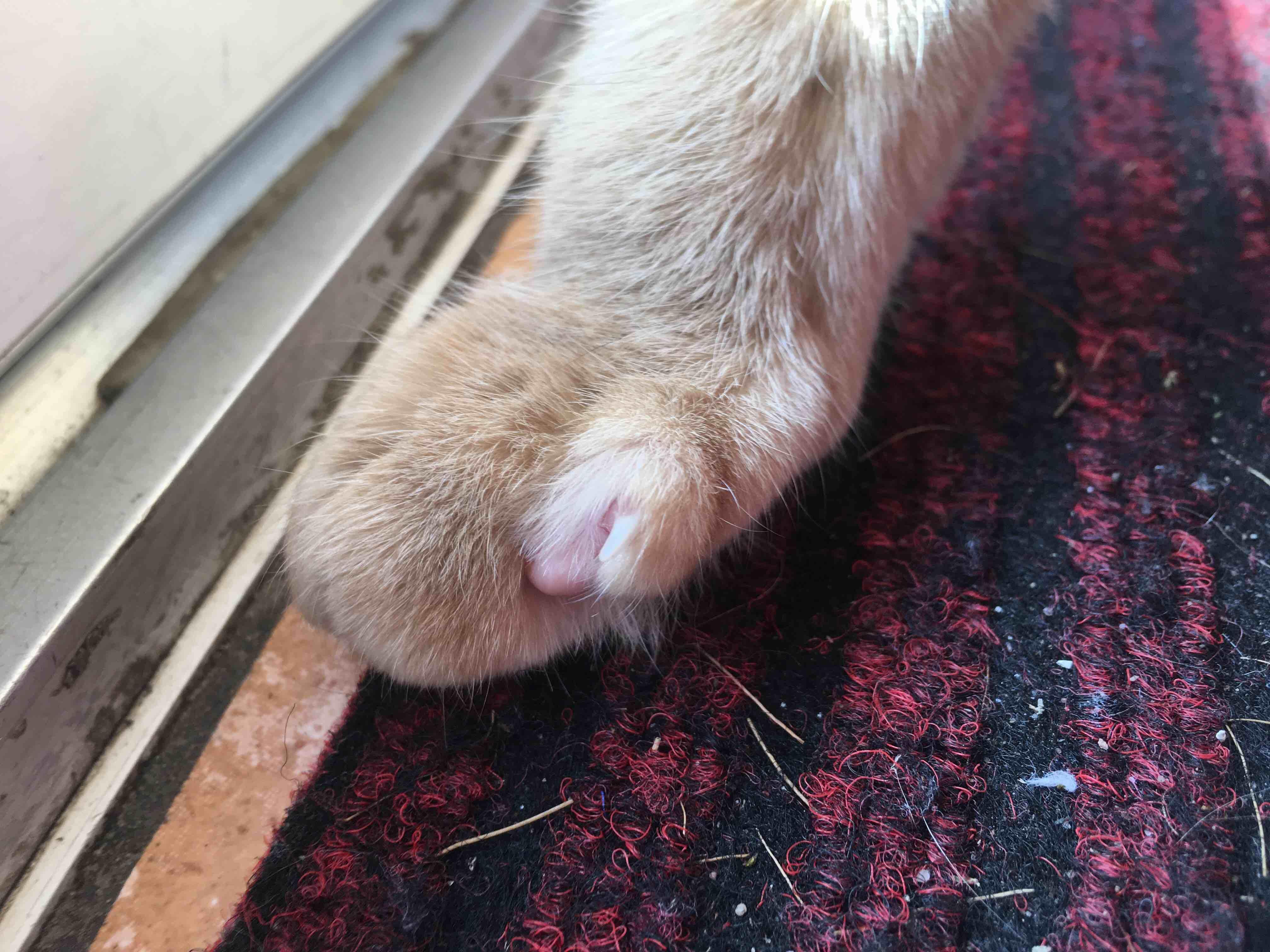 Question details sensitive content