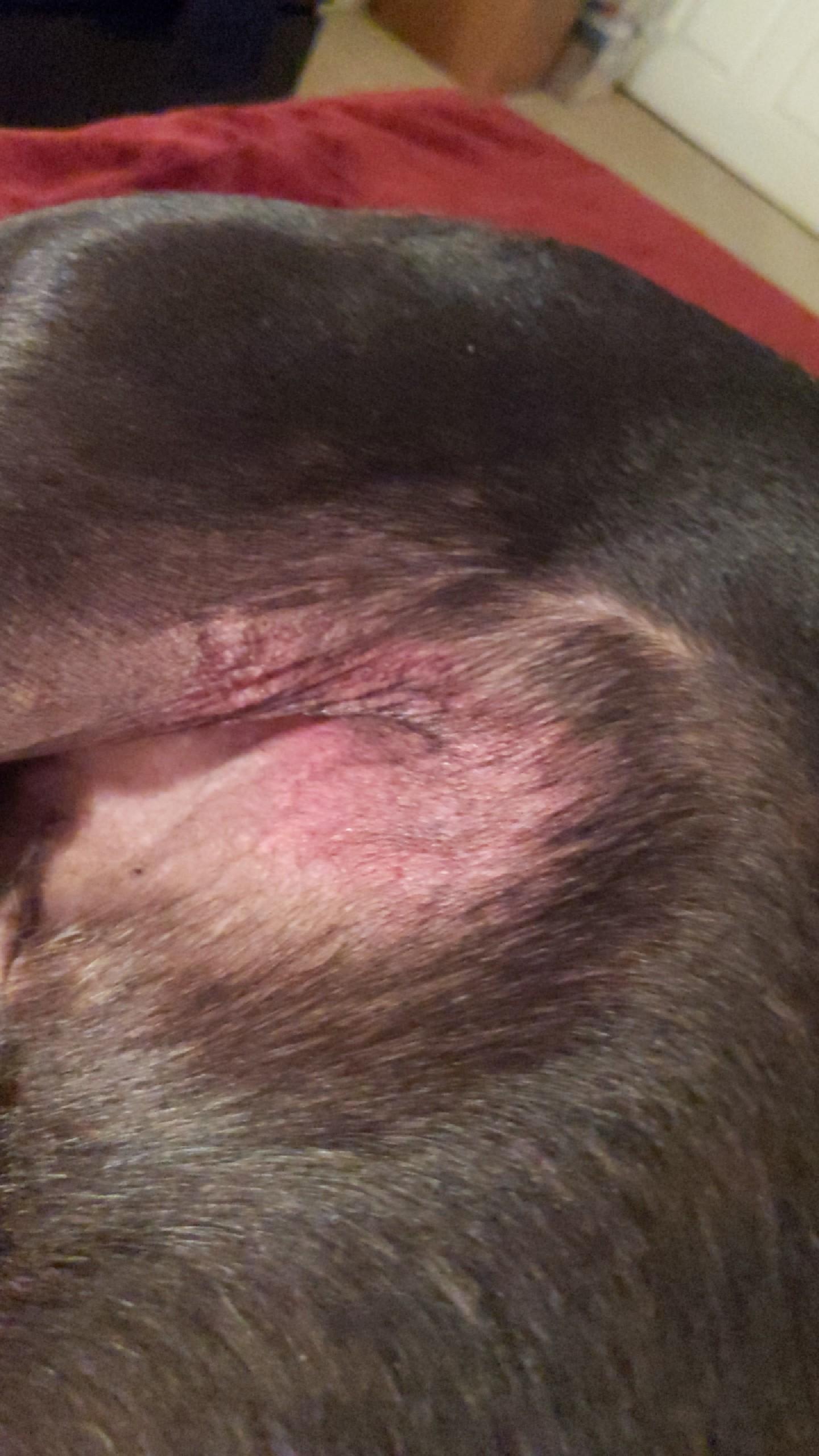 Question details sensitive content