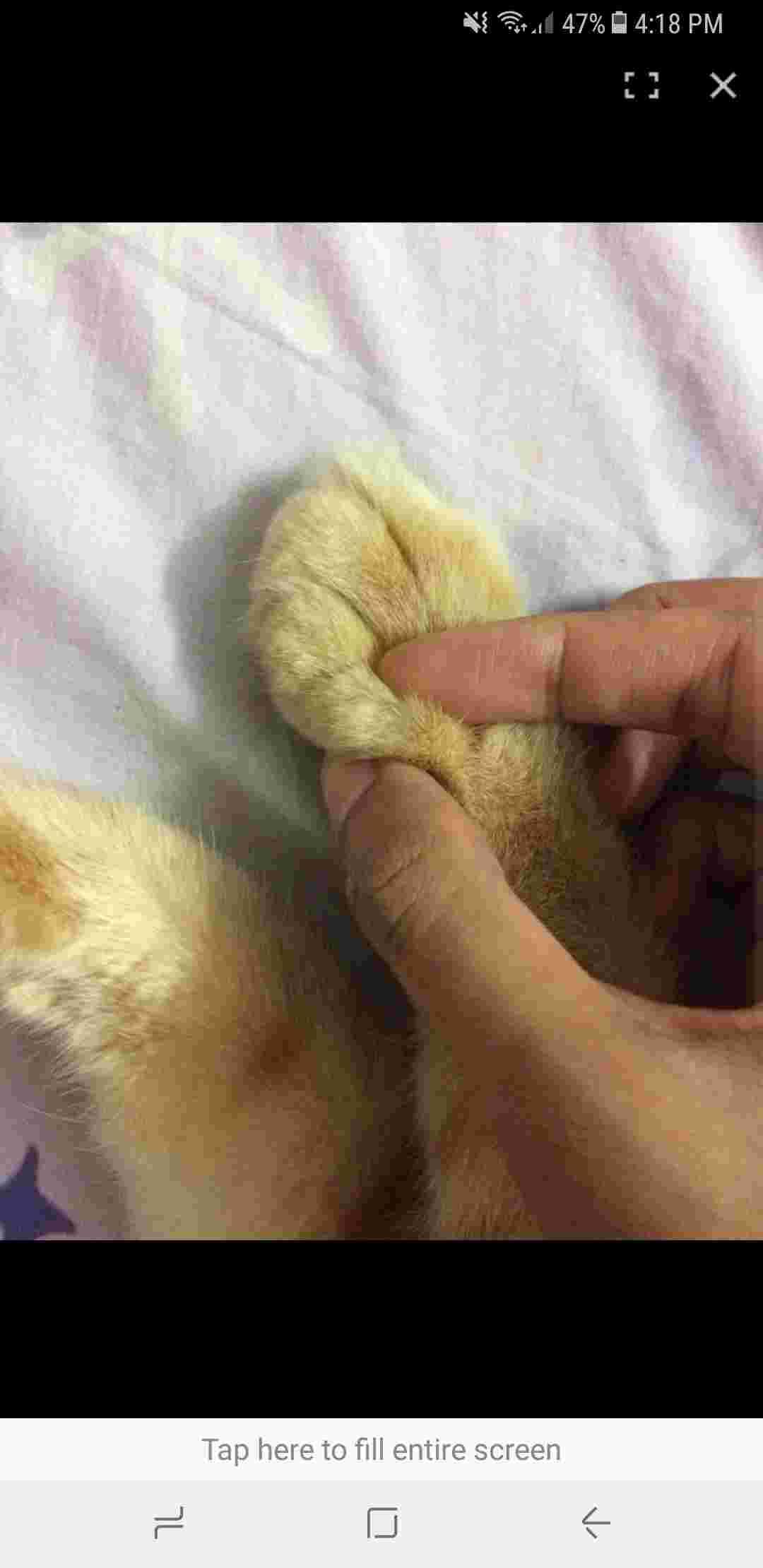 Question details sensitive content