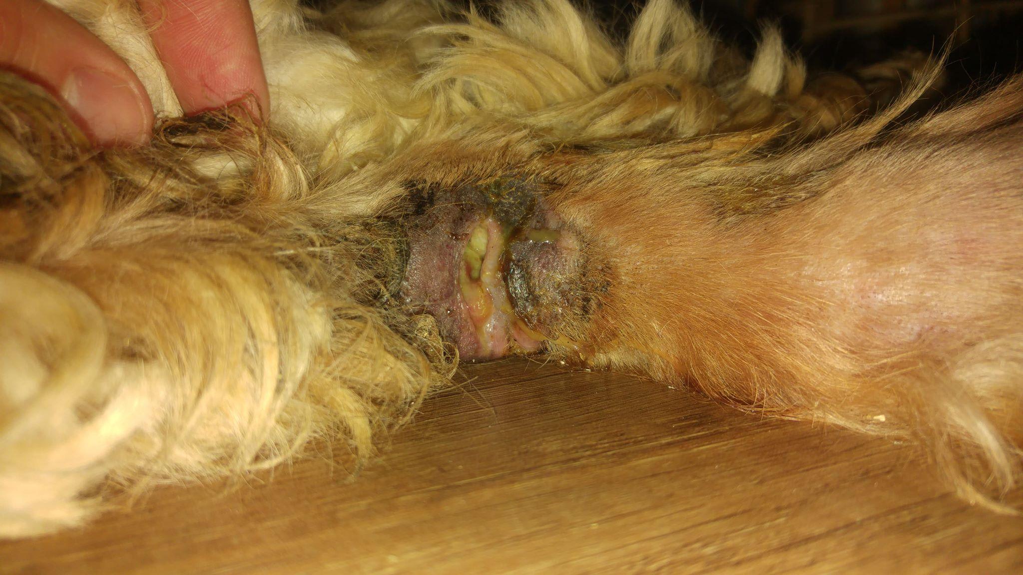 Question details sensitive content