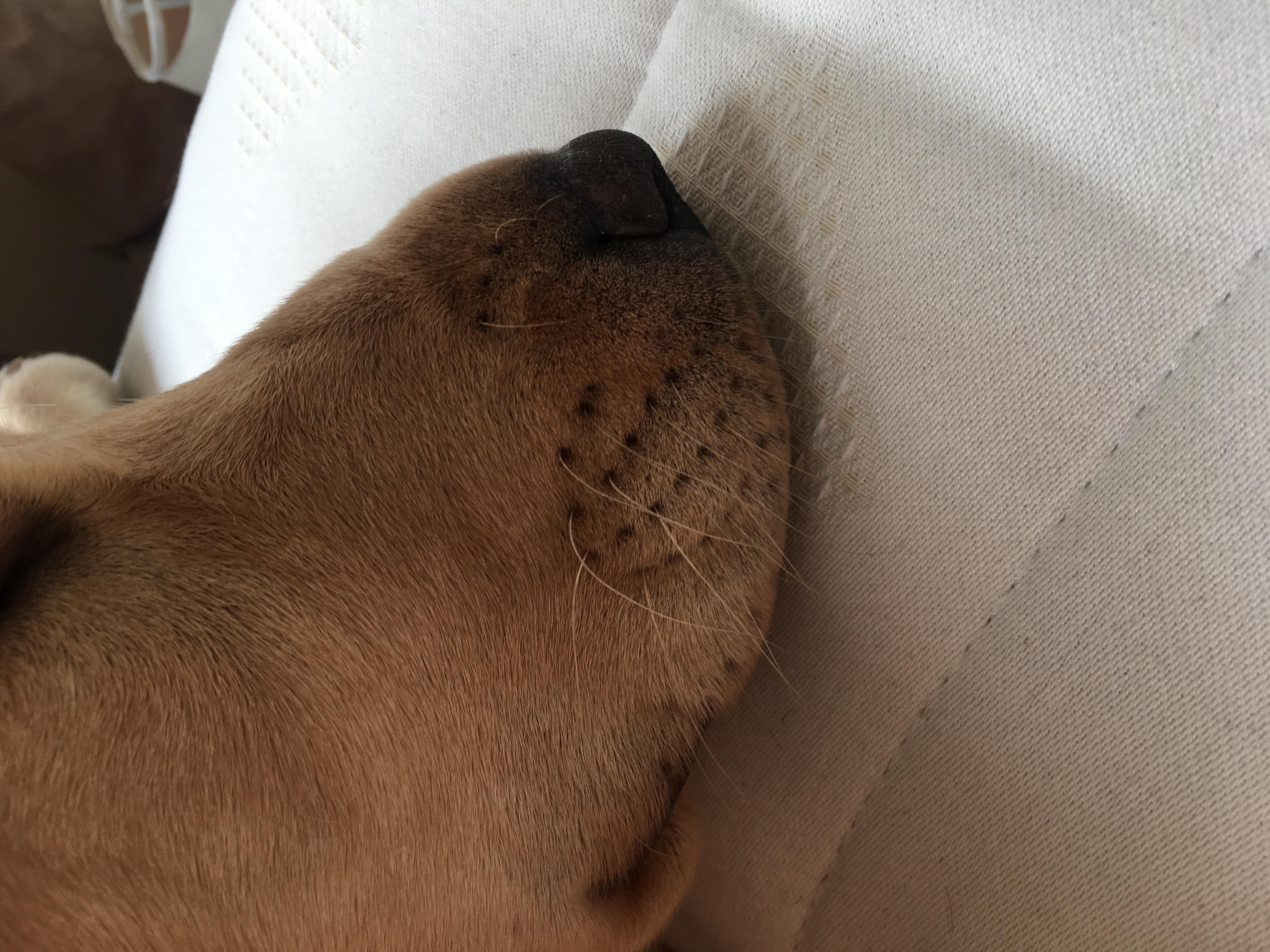 Question details sensitive content