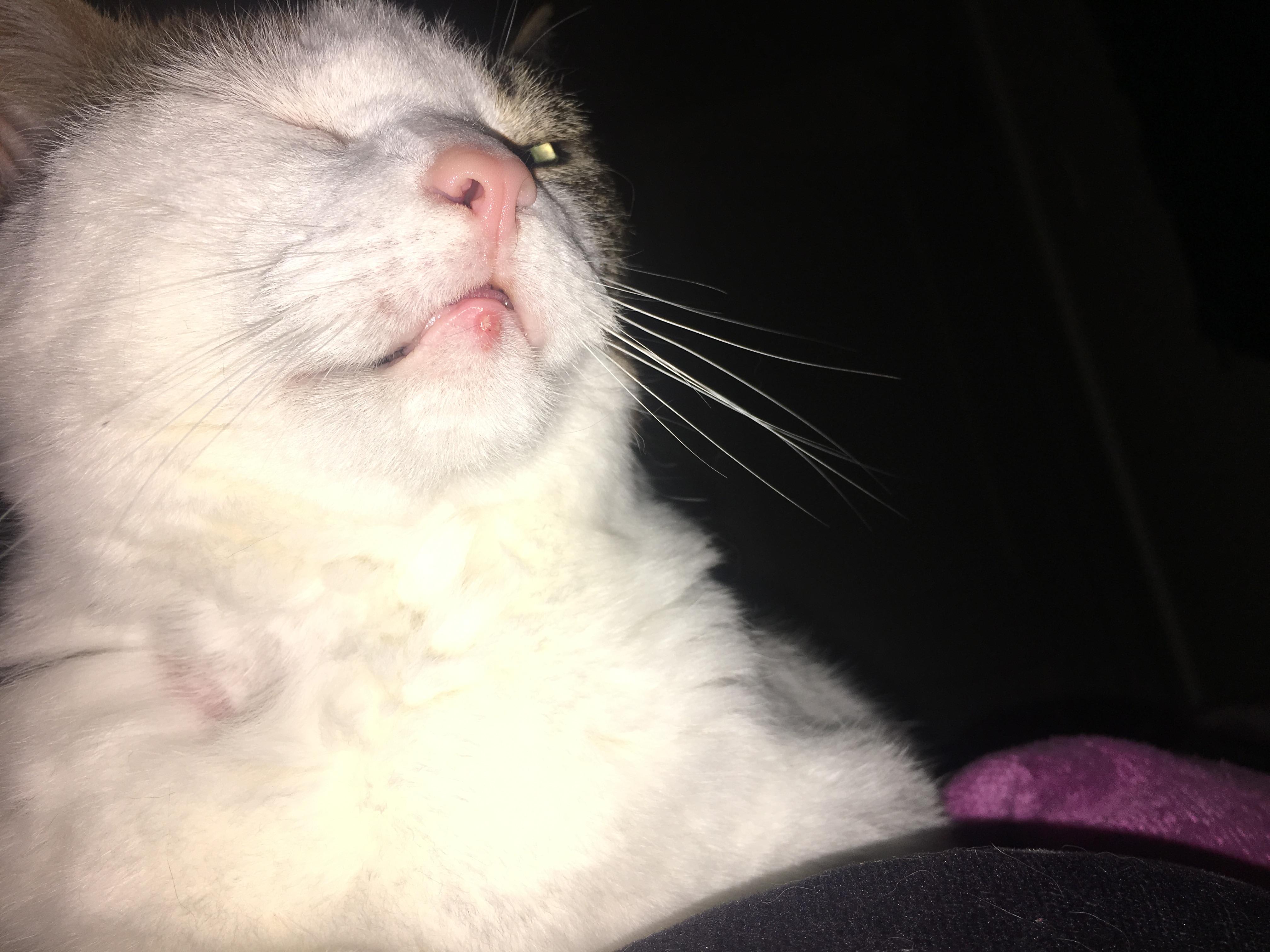 Question details sensitive content