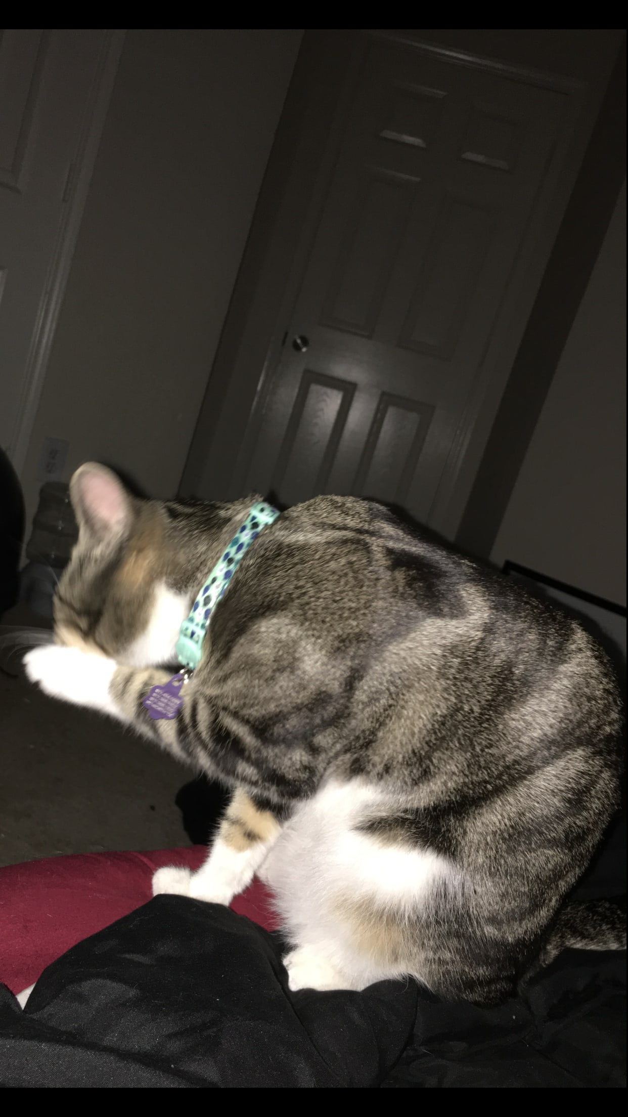 Question details sensitive content