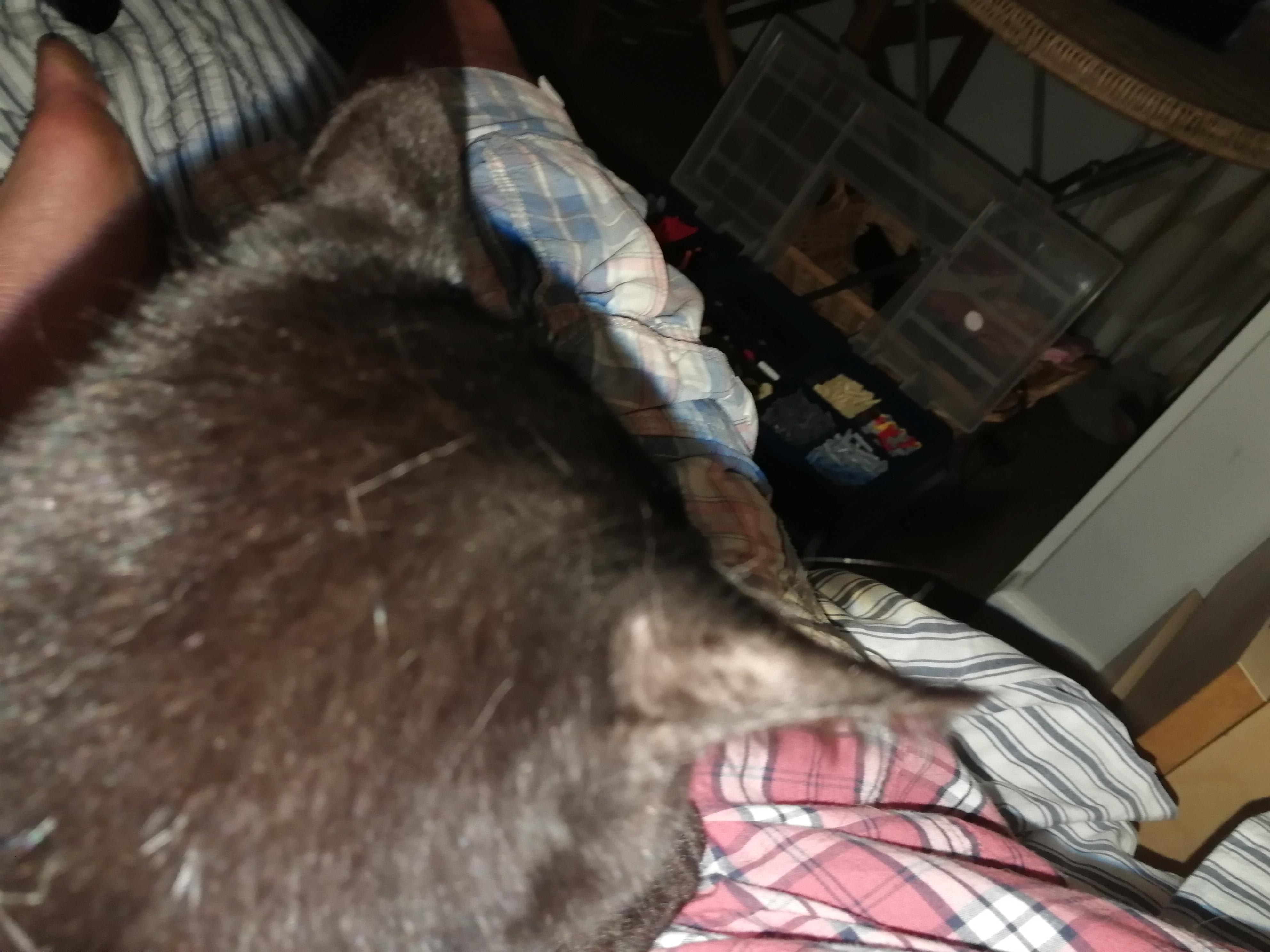 Question details sensitive content