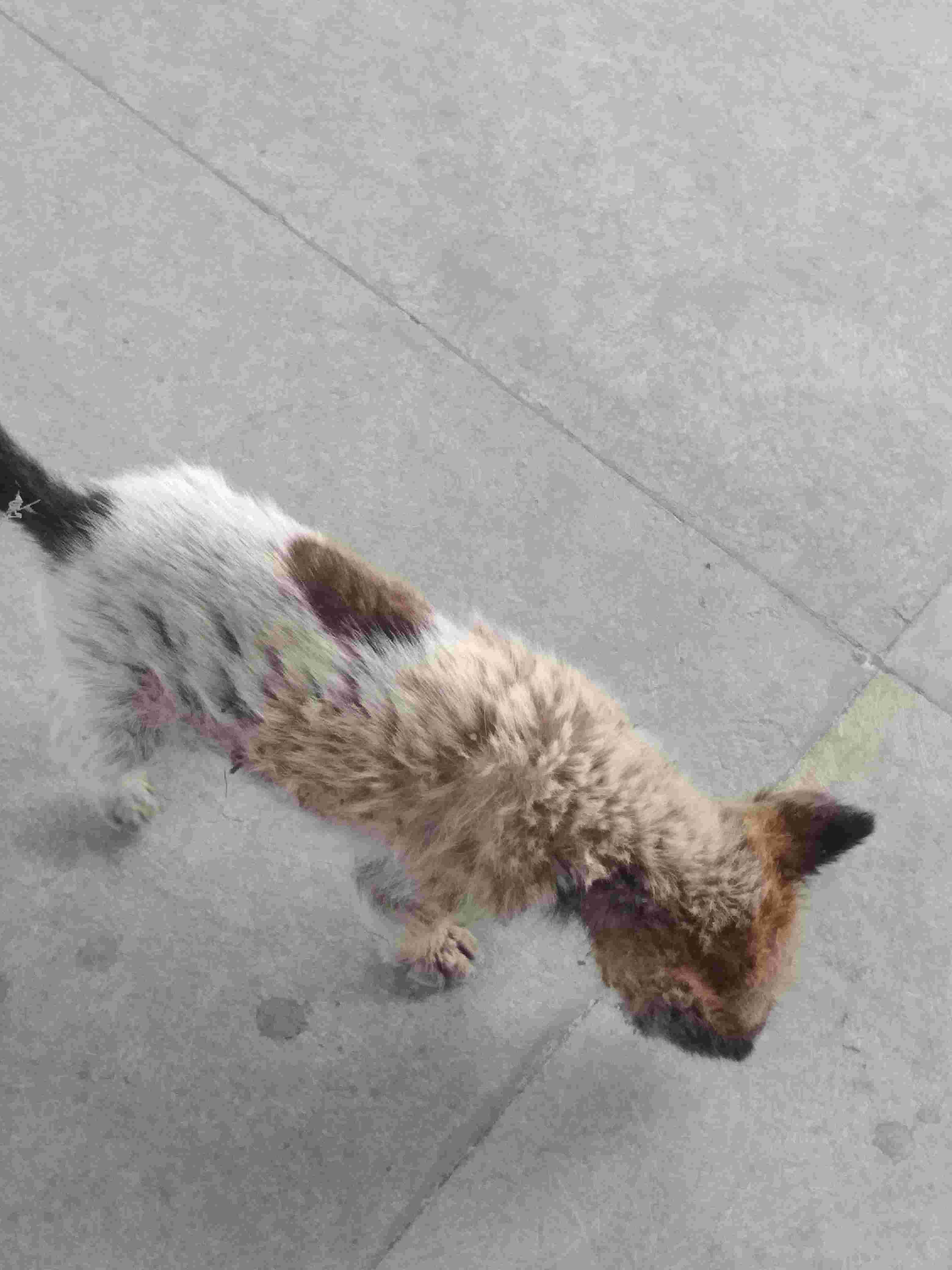 Question details sensitive content