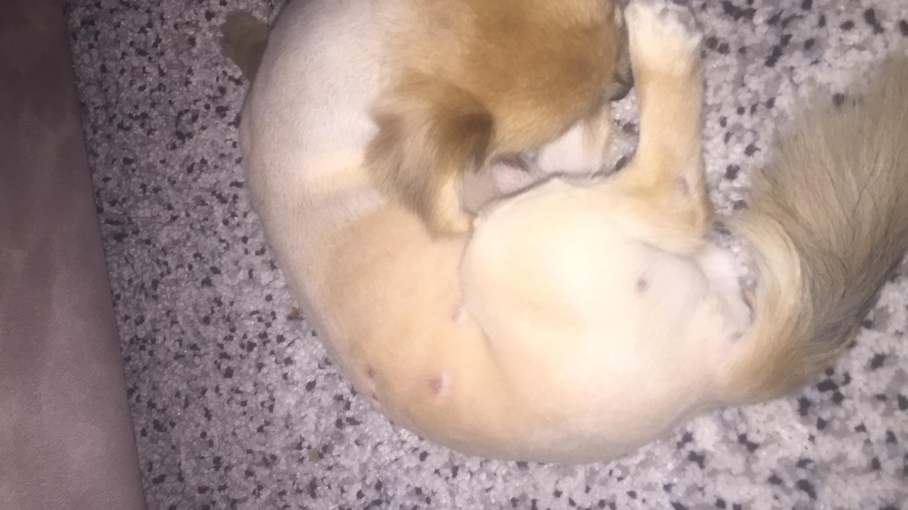 Question details sensitive content