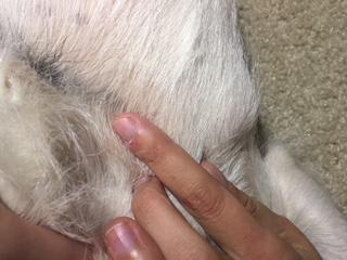 Question details sensitive content