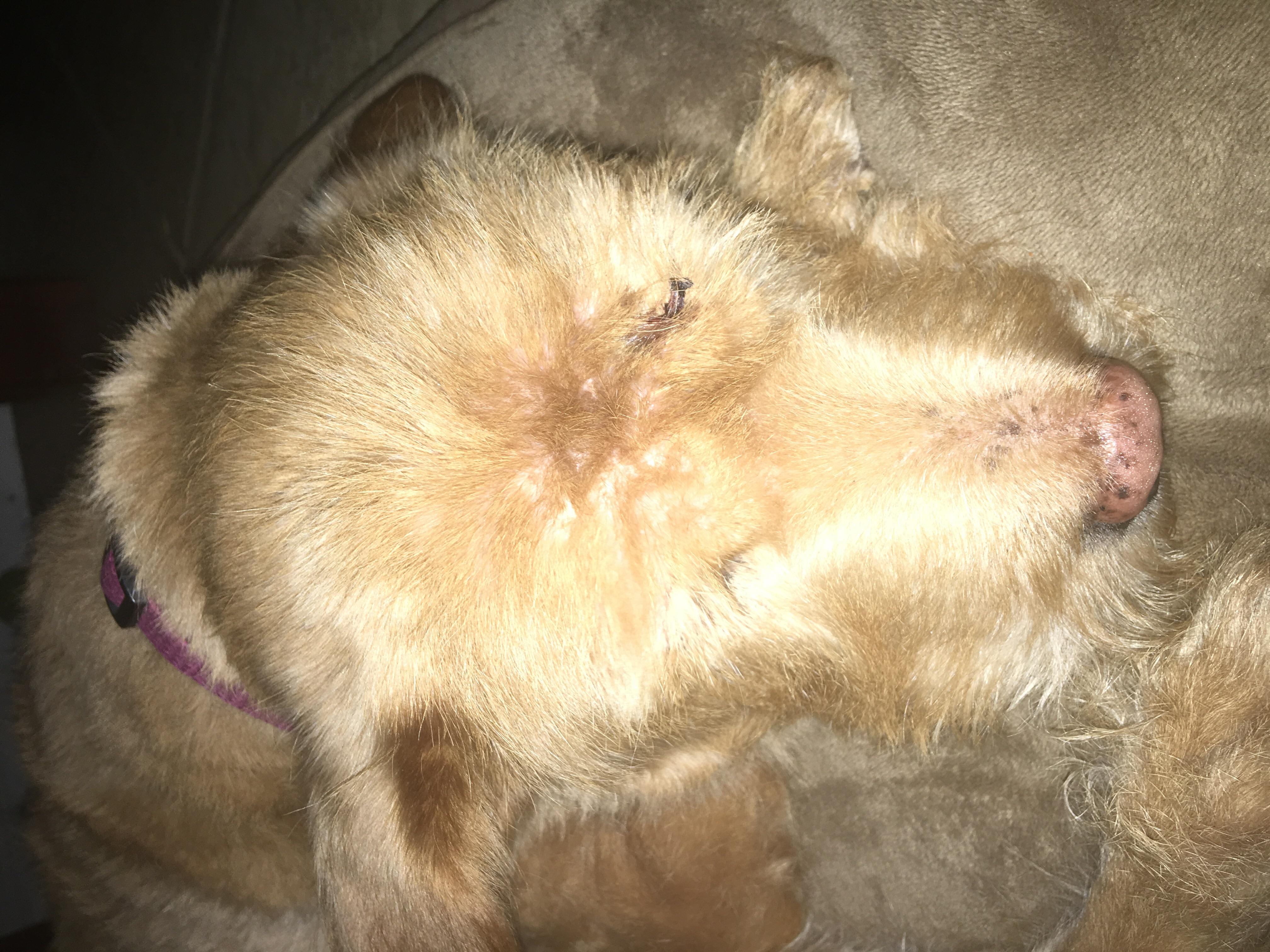 Question details sensitive content