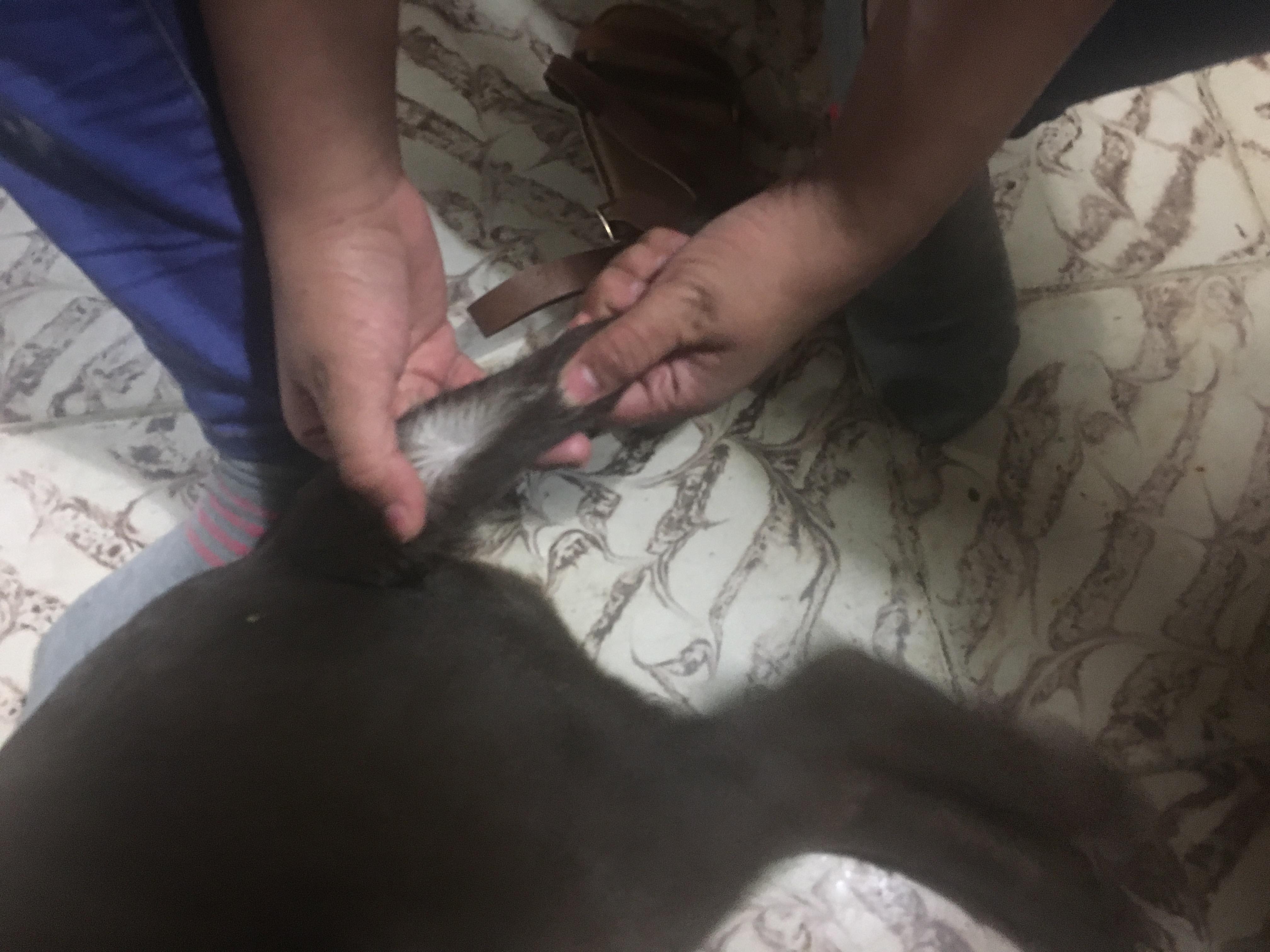 Question details sensitive content