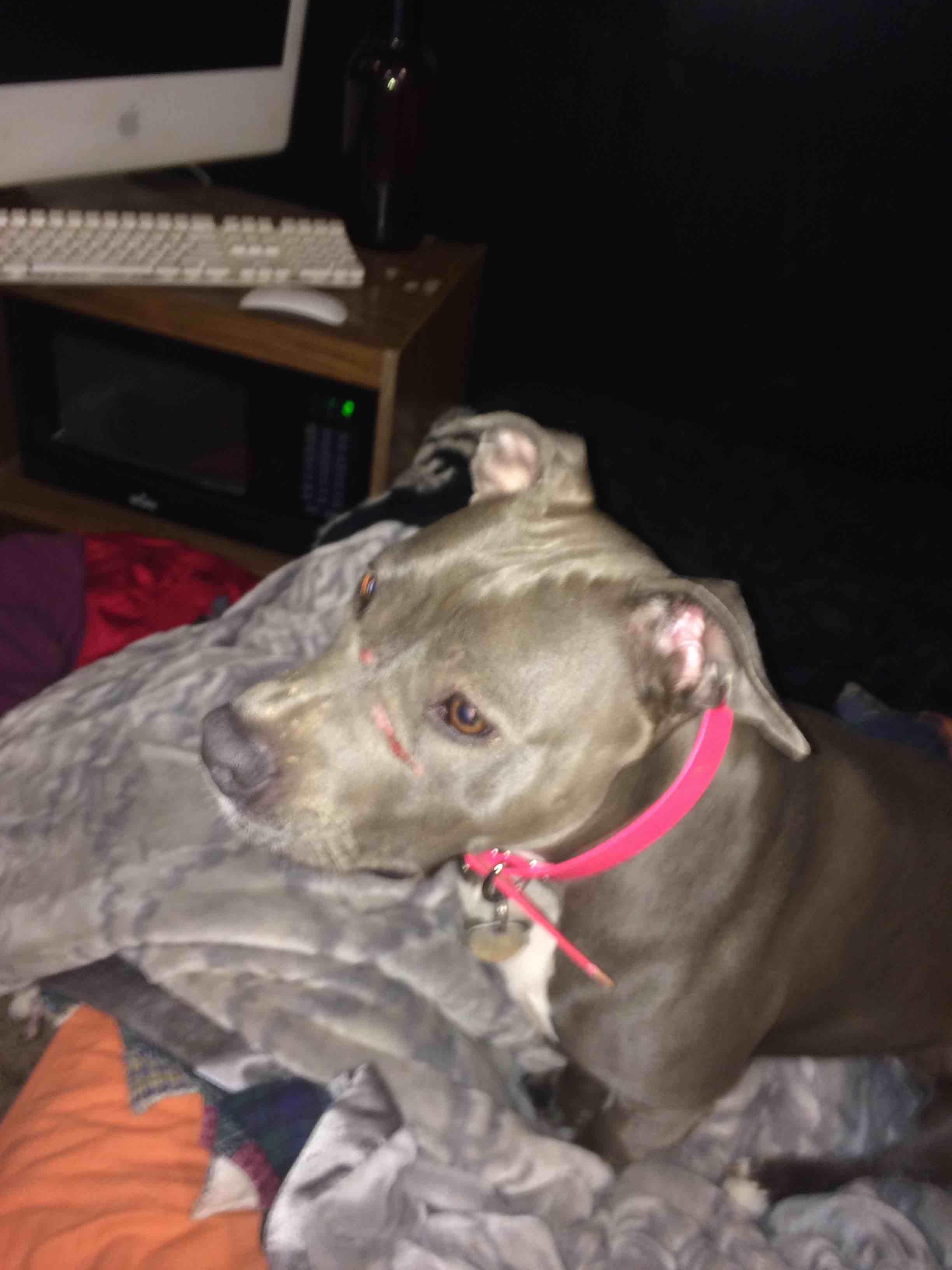 Question details sensitive content