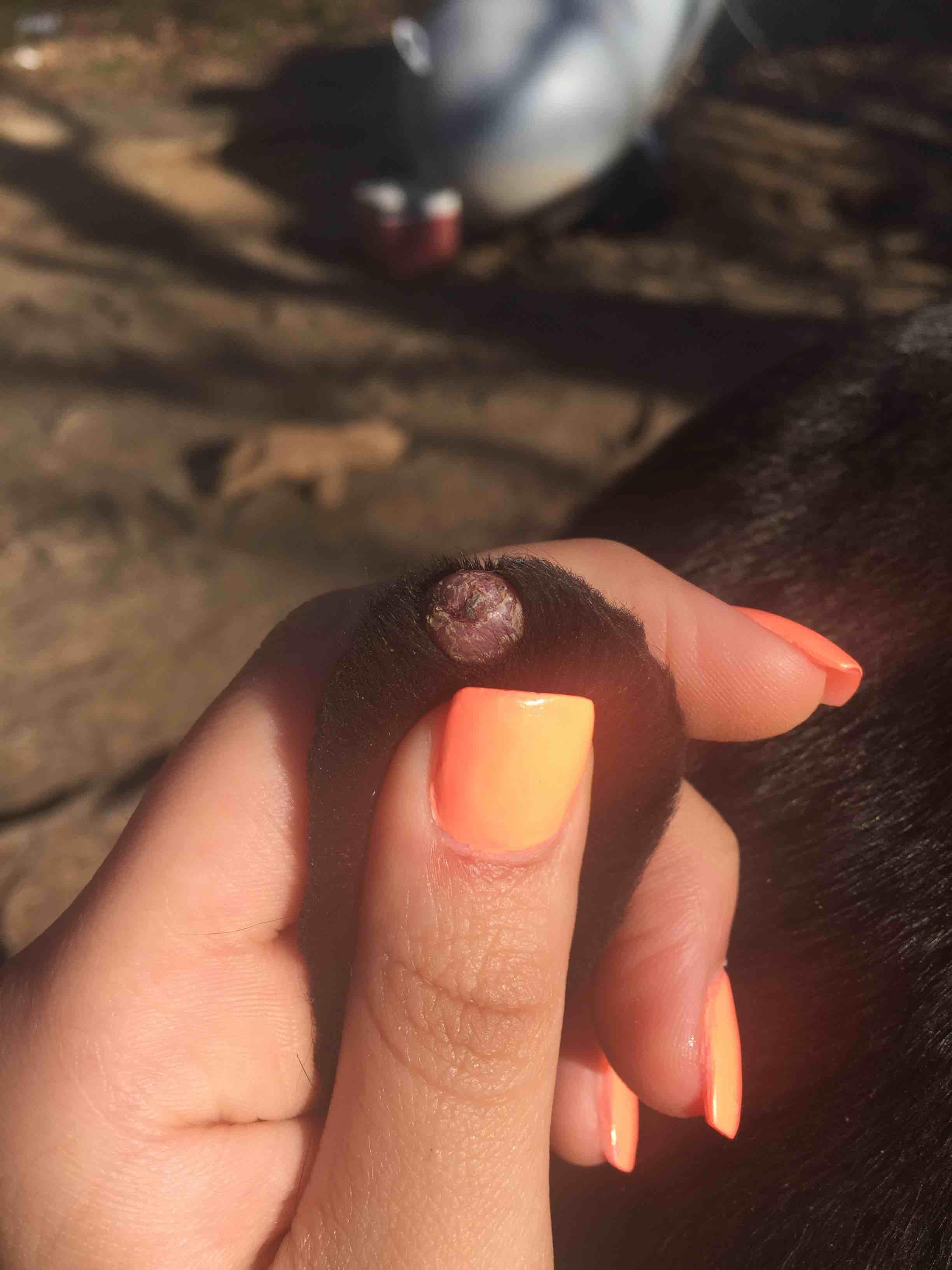 Question details sensitive content