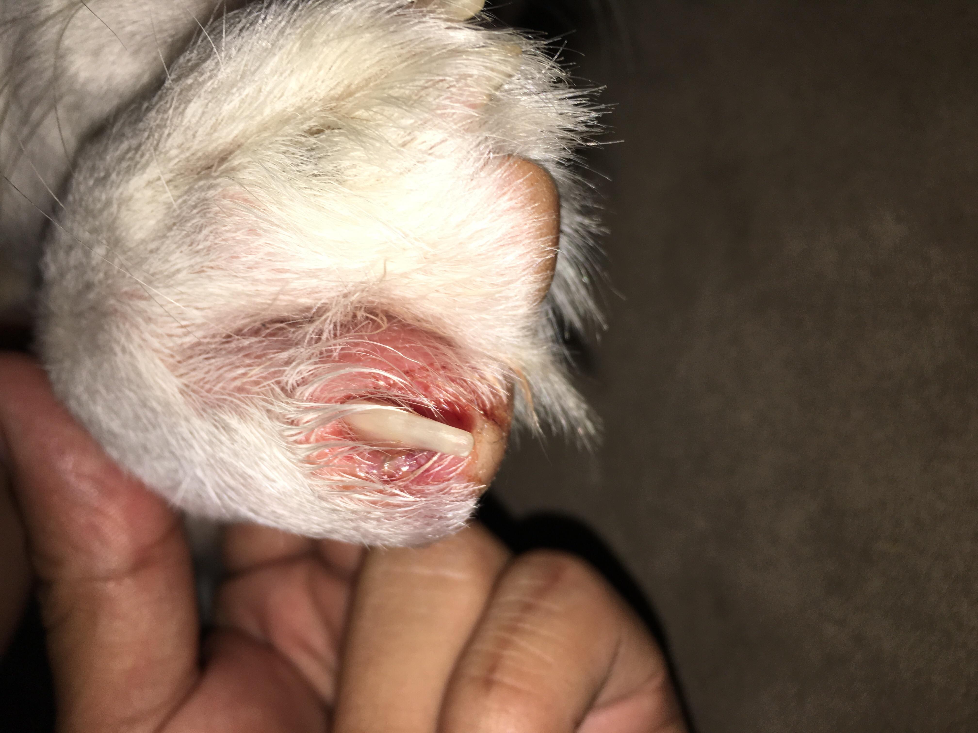 Question details sensitive content