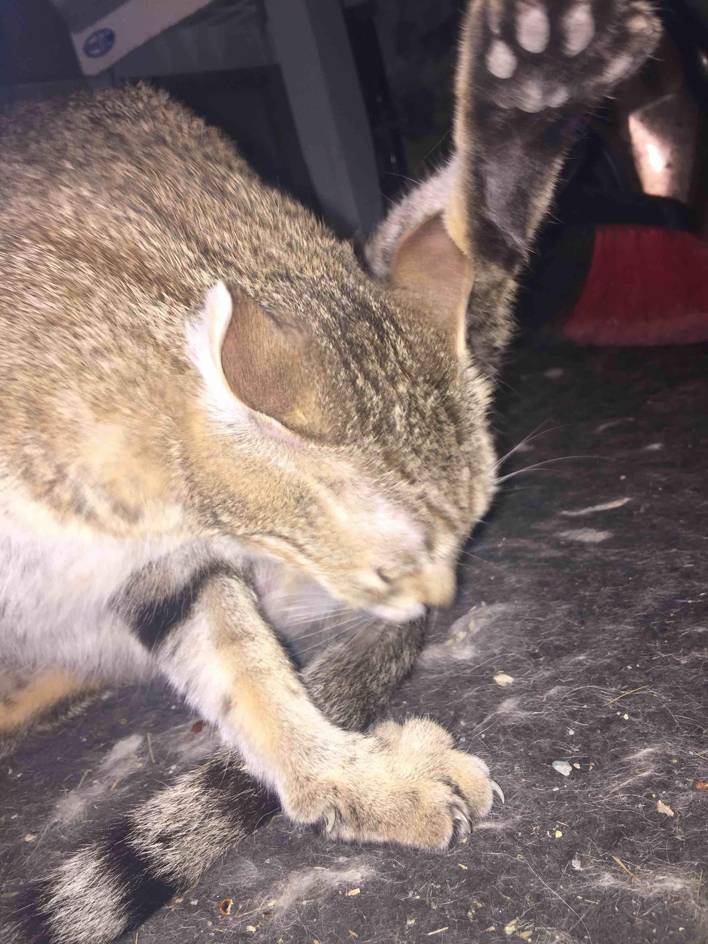 Question details sensitive content