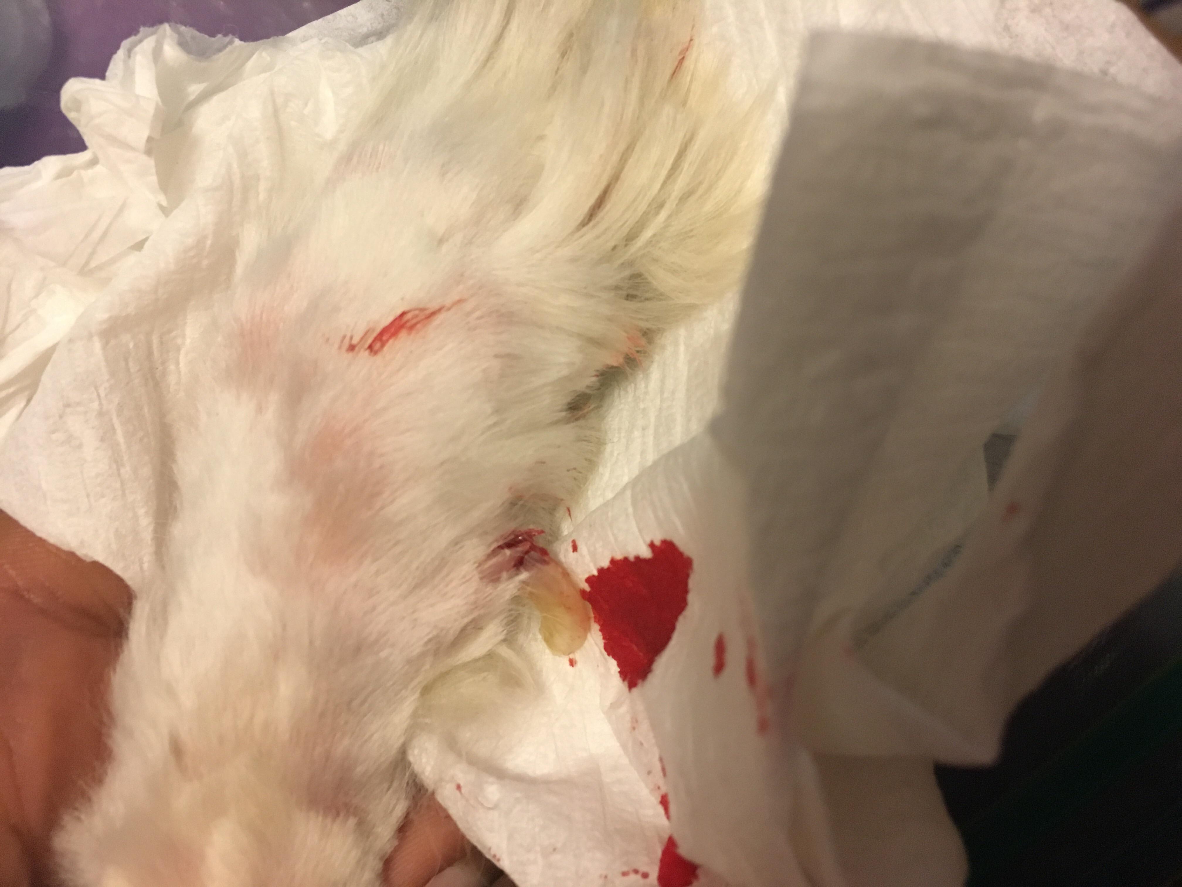 Question details sensitive content