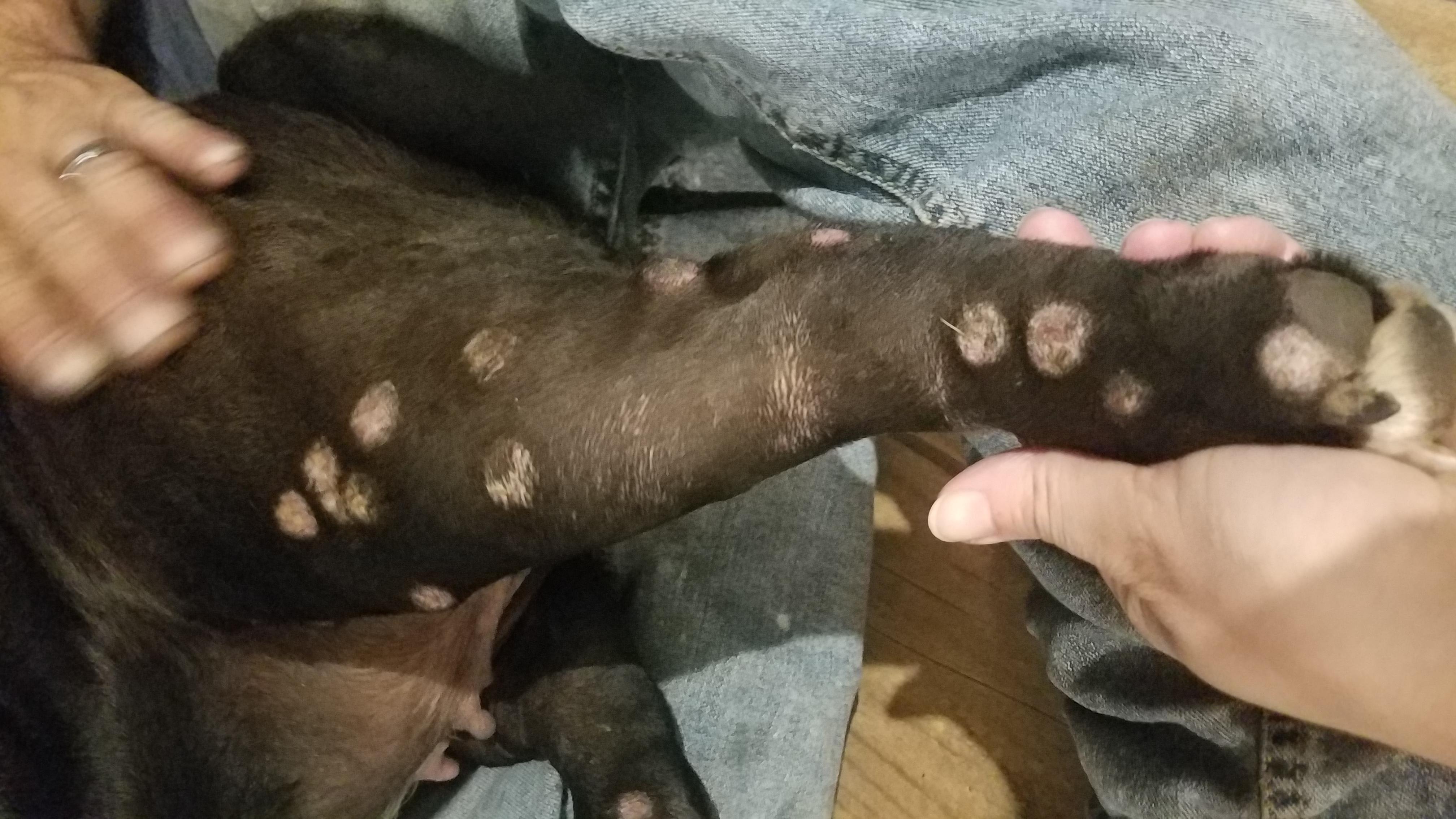 Question details sensitive content