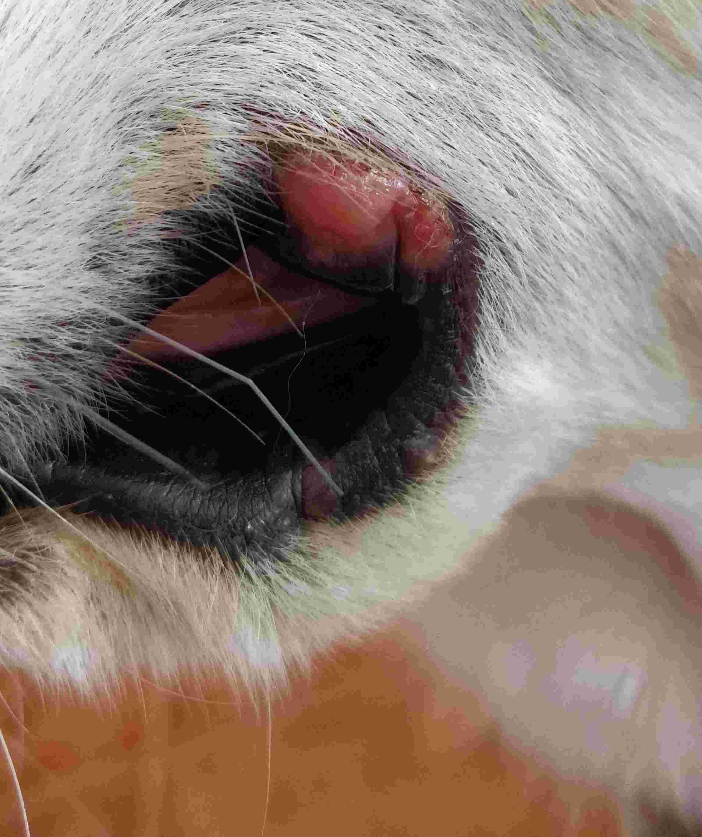 Question details sensitive content