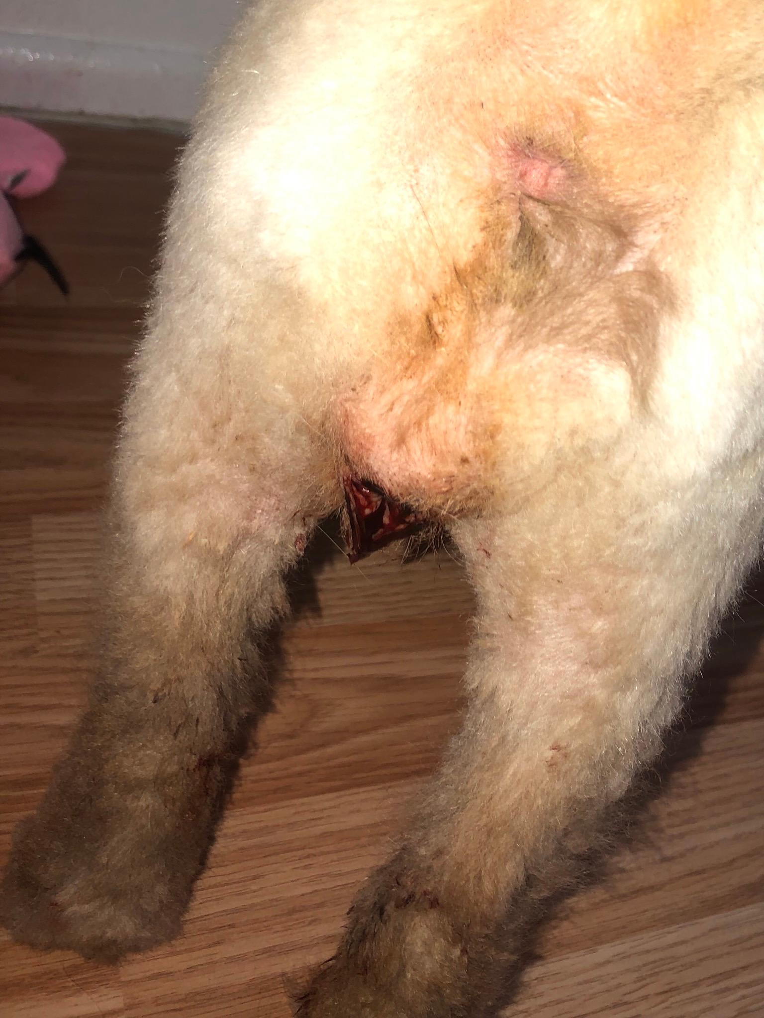 Question details sensitive content