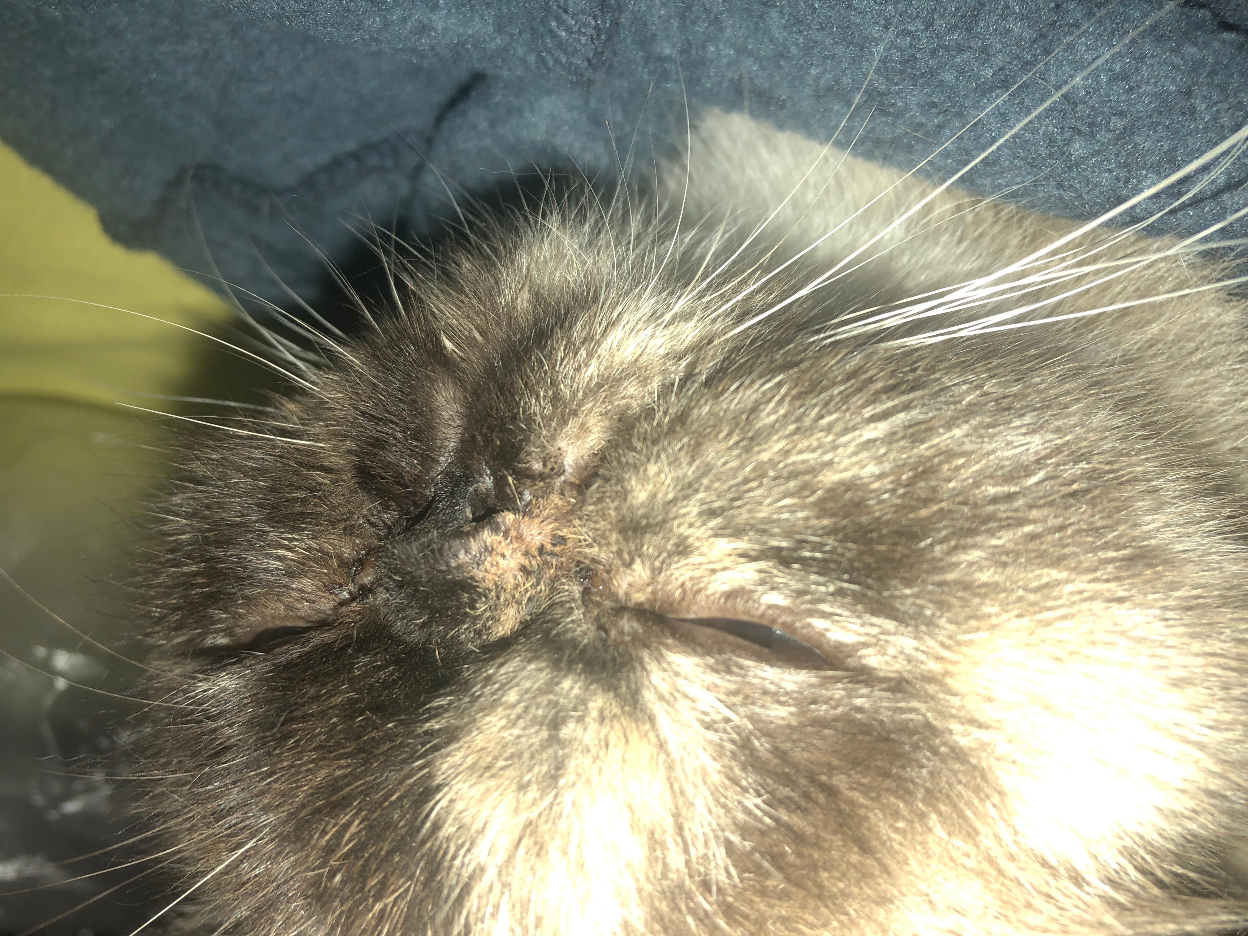 Question details sensitive content