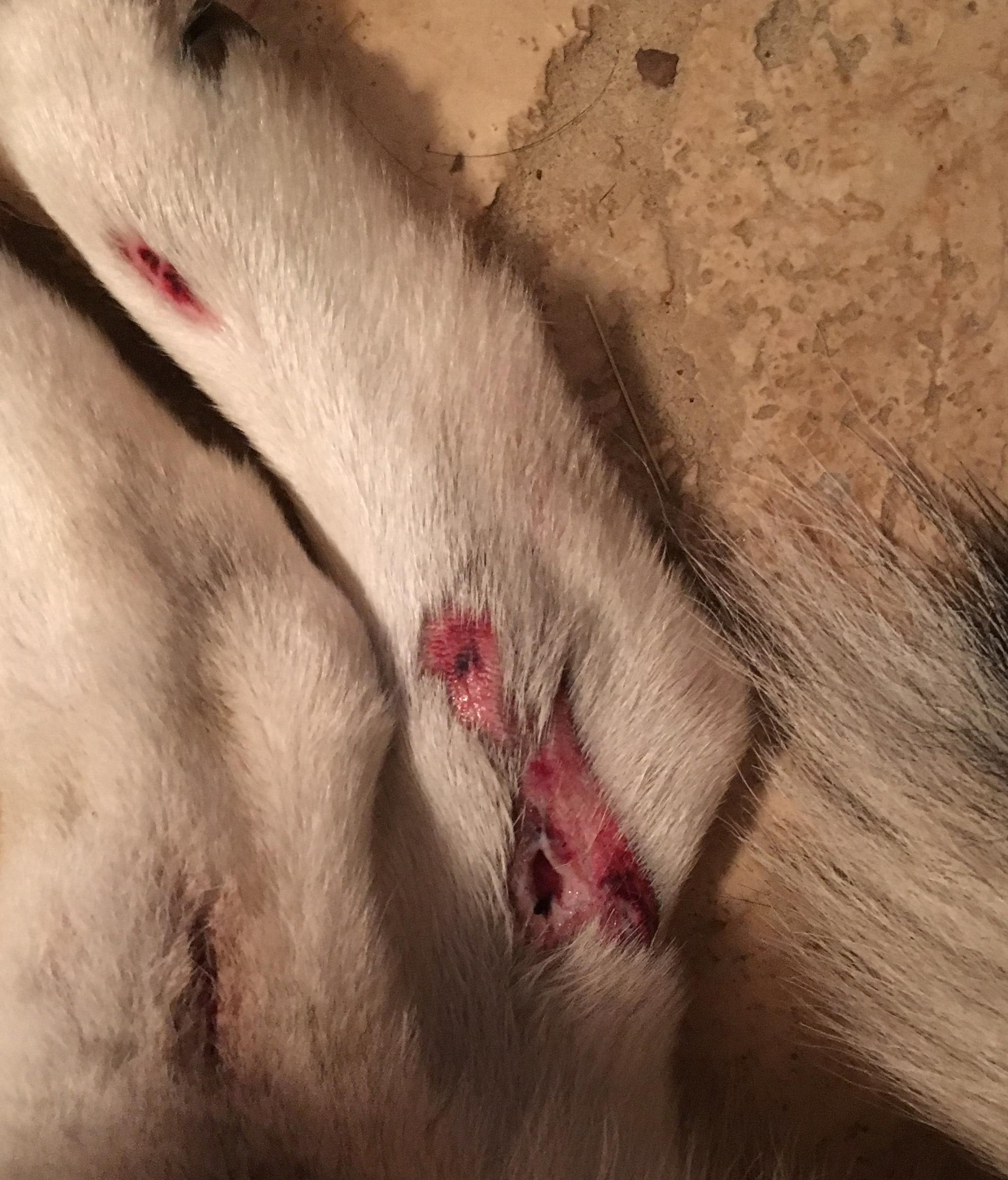 Question details sensitive content