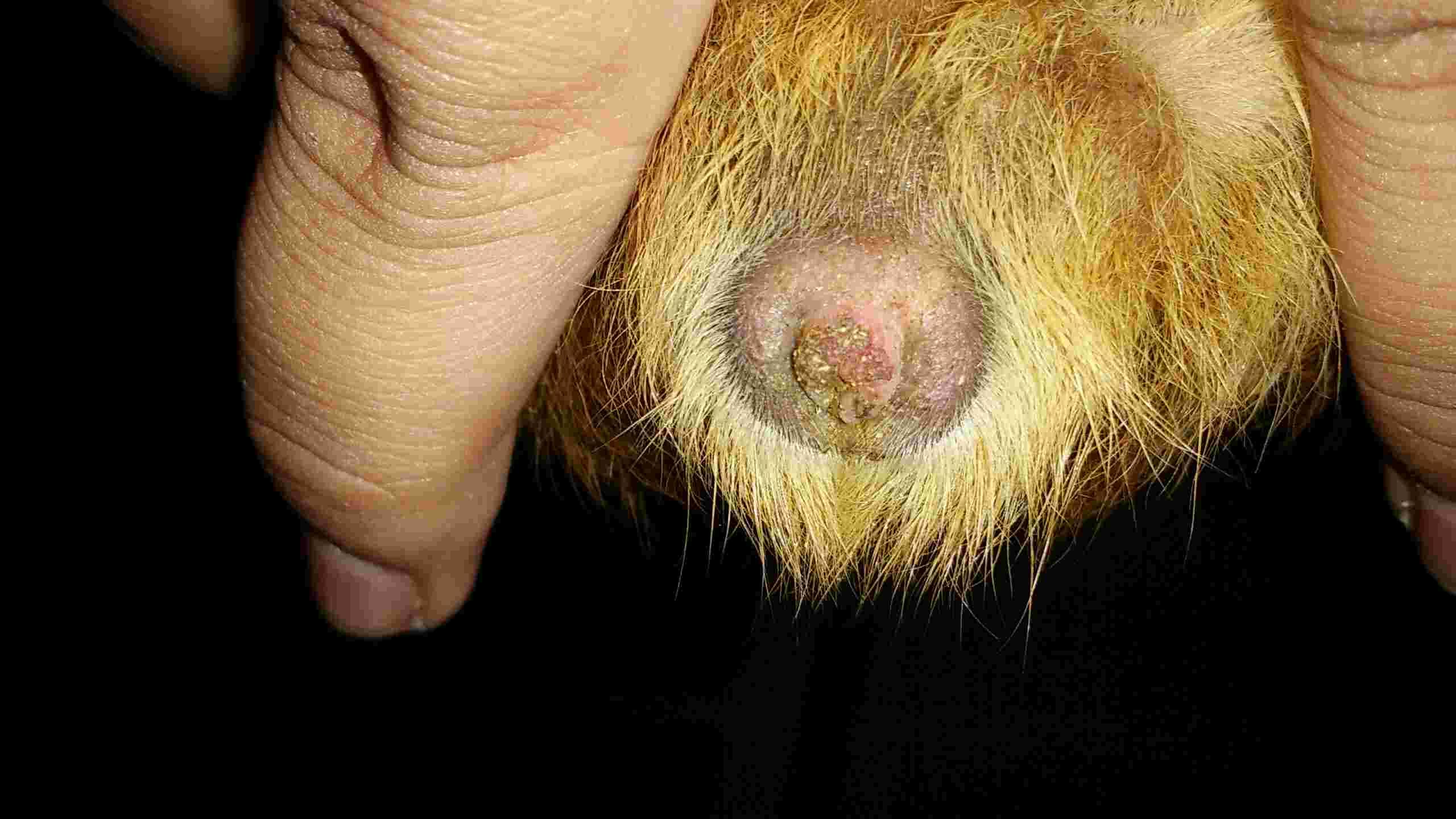 Question details sensitive content