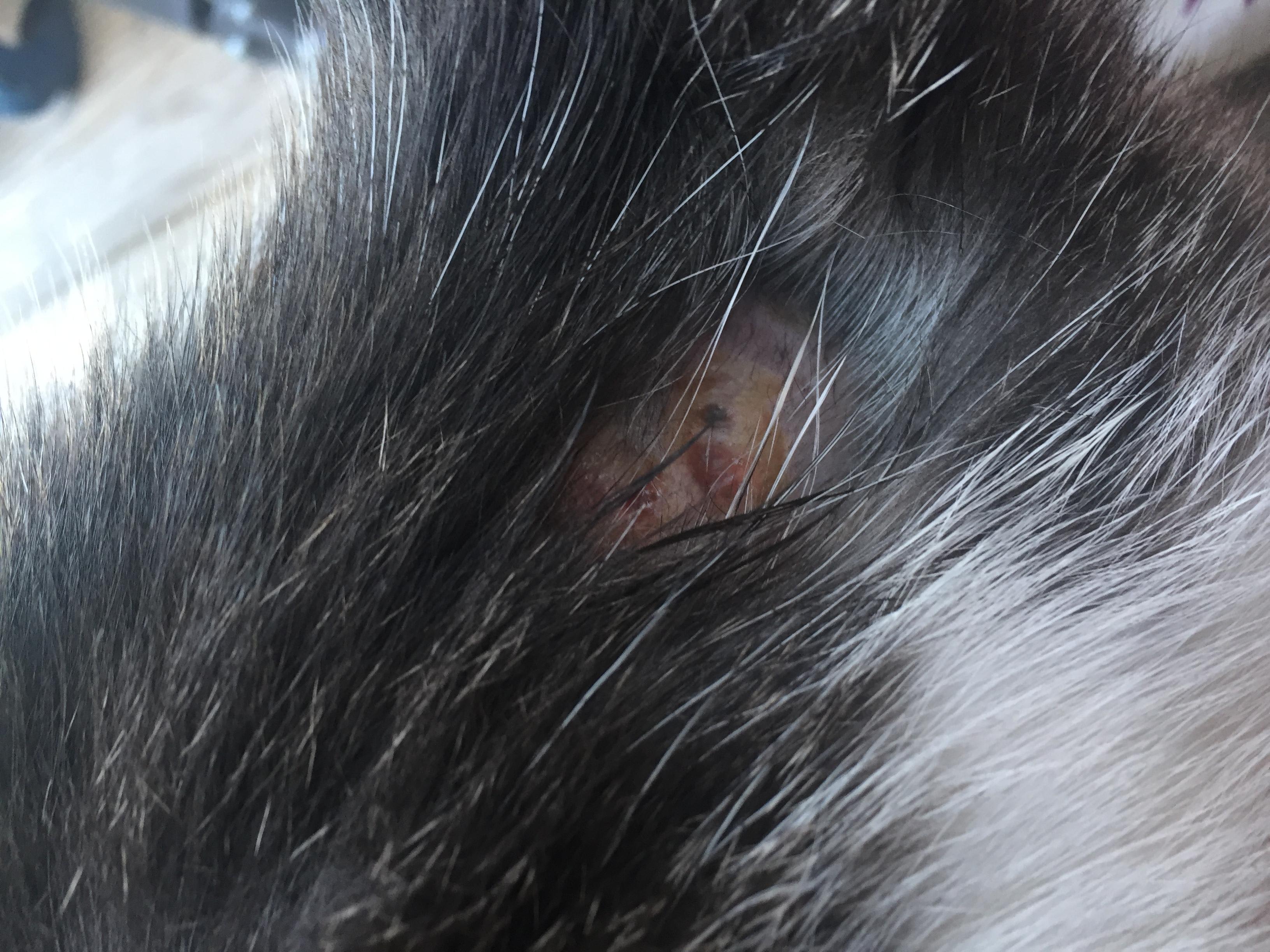 Question details sensitive content