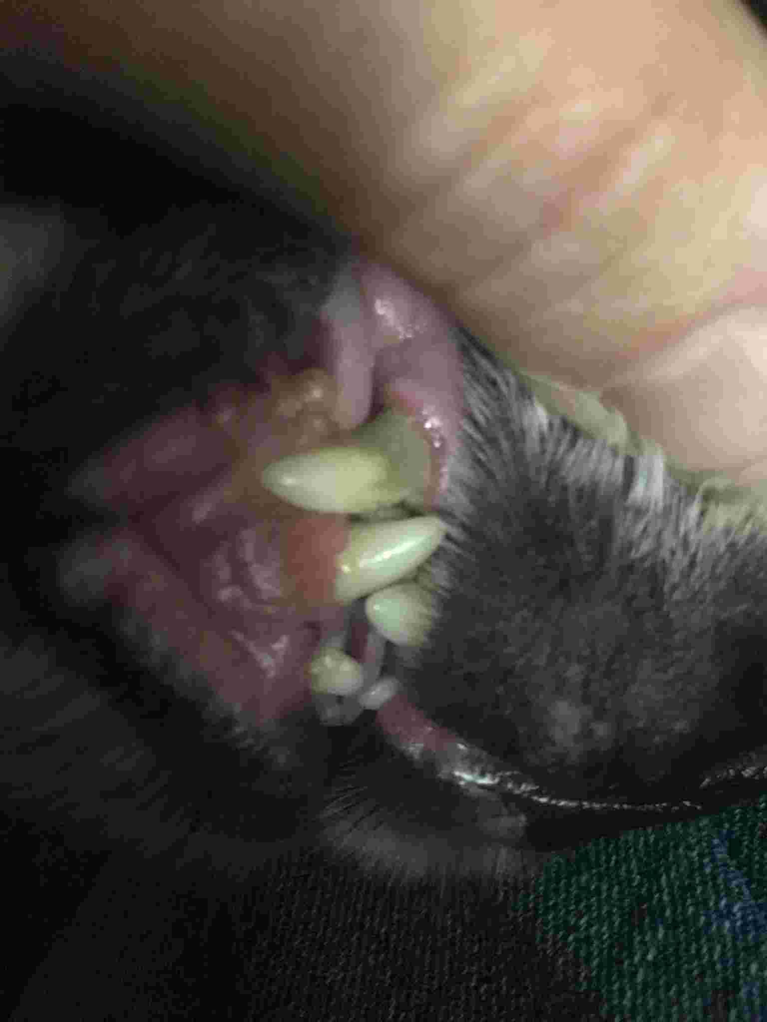 Question details sensitive content