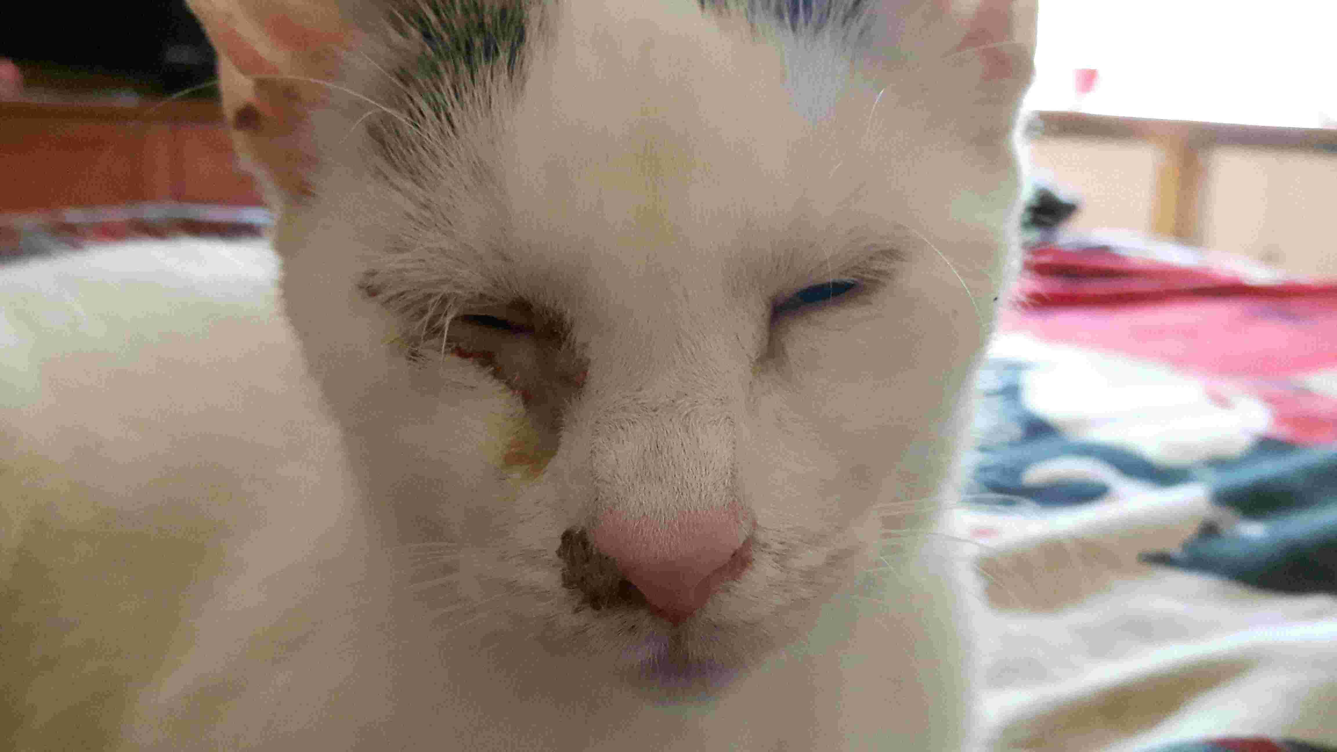 Question details sensitive content