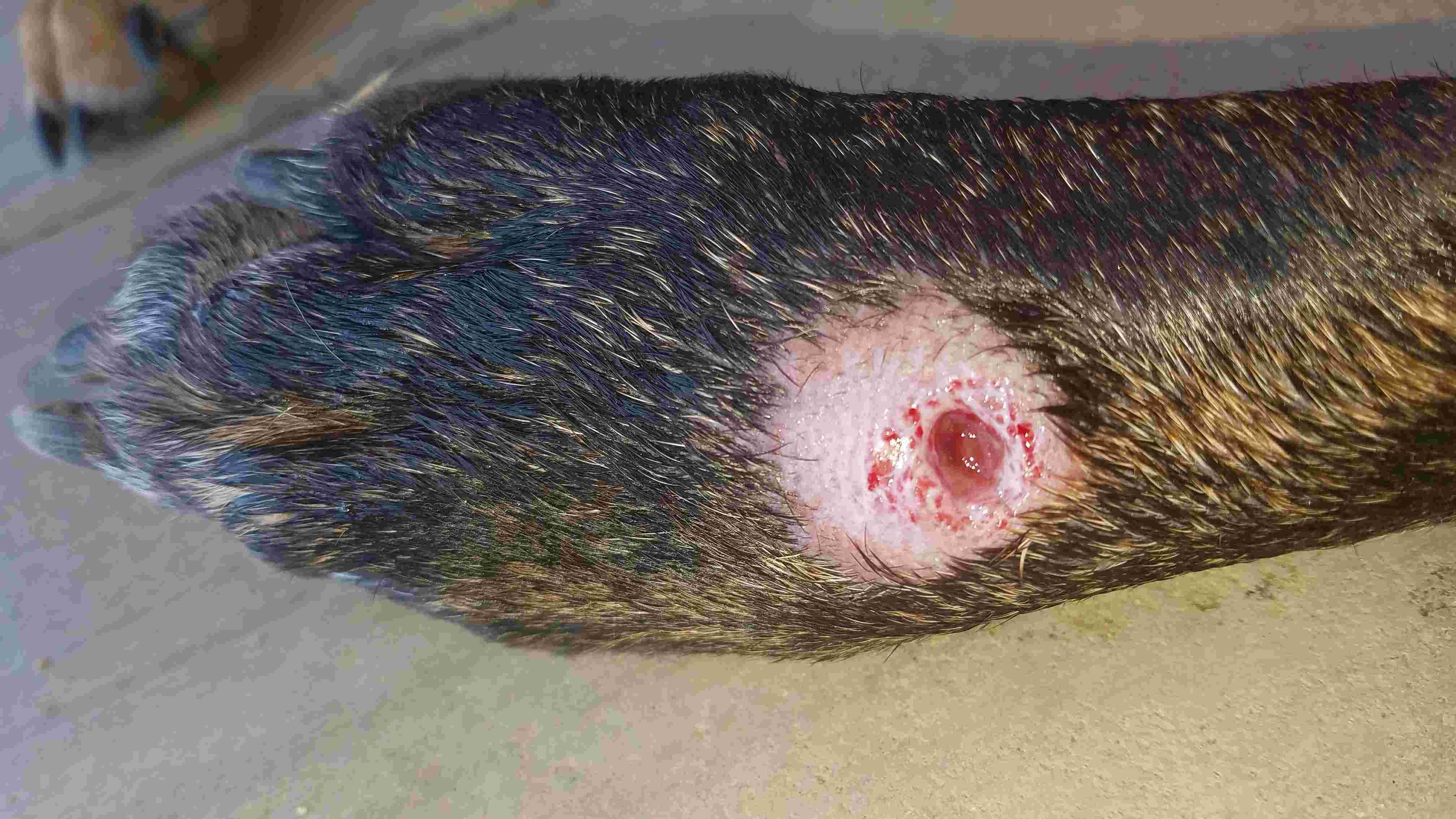 Question details sensitive content