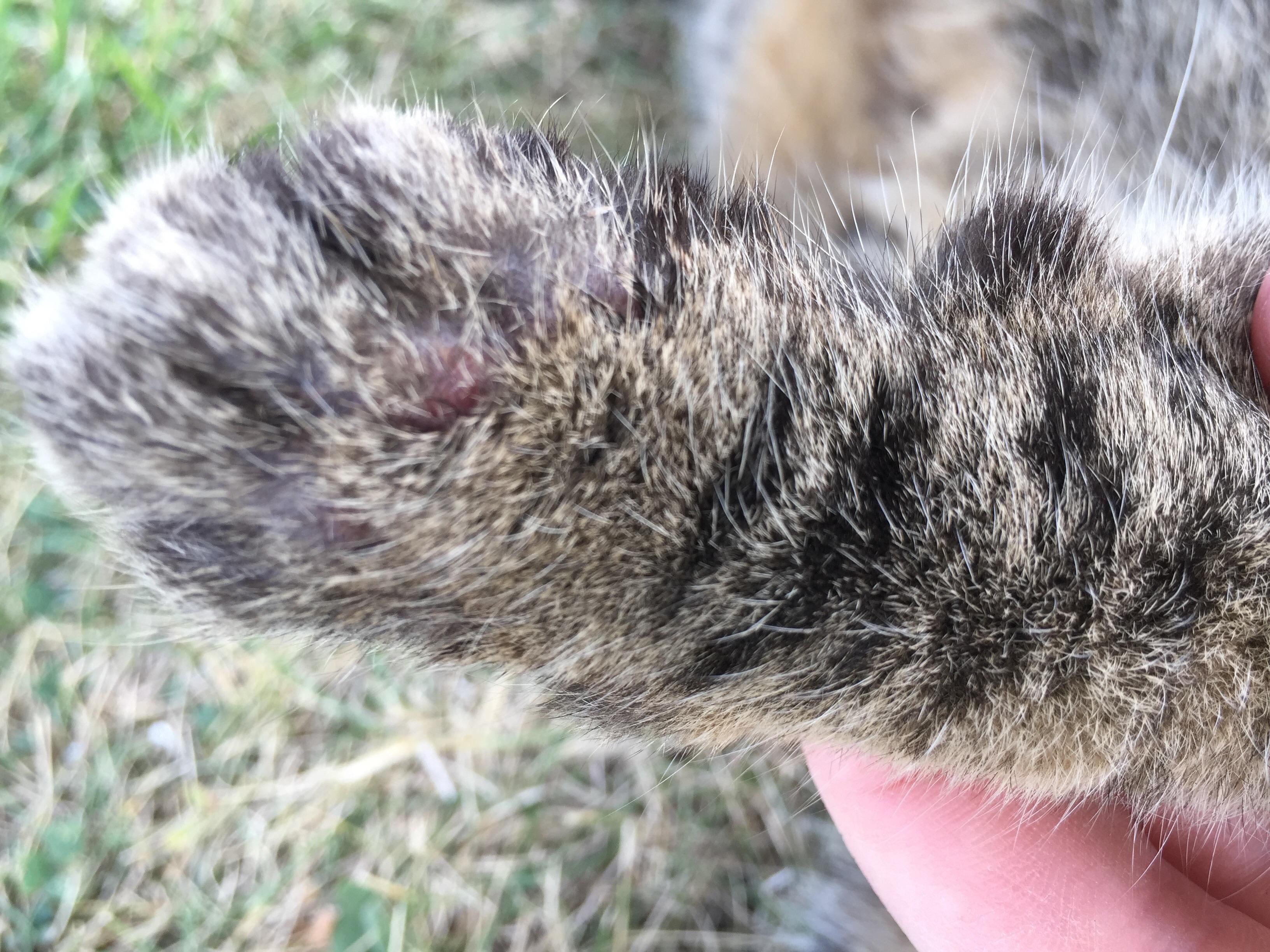 Question details sensitive content