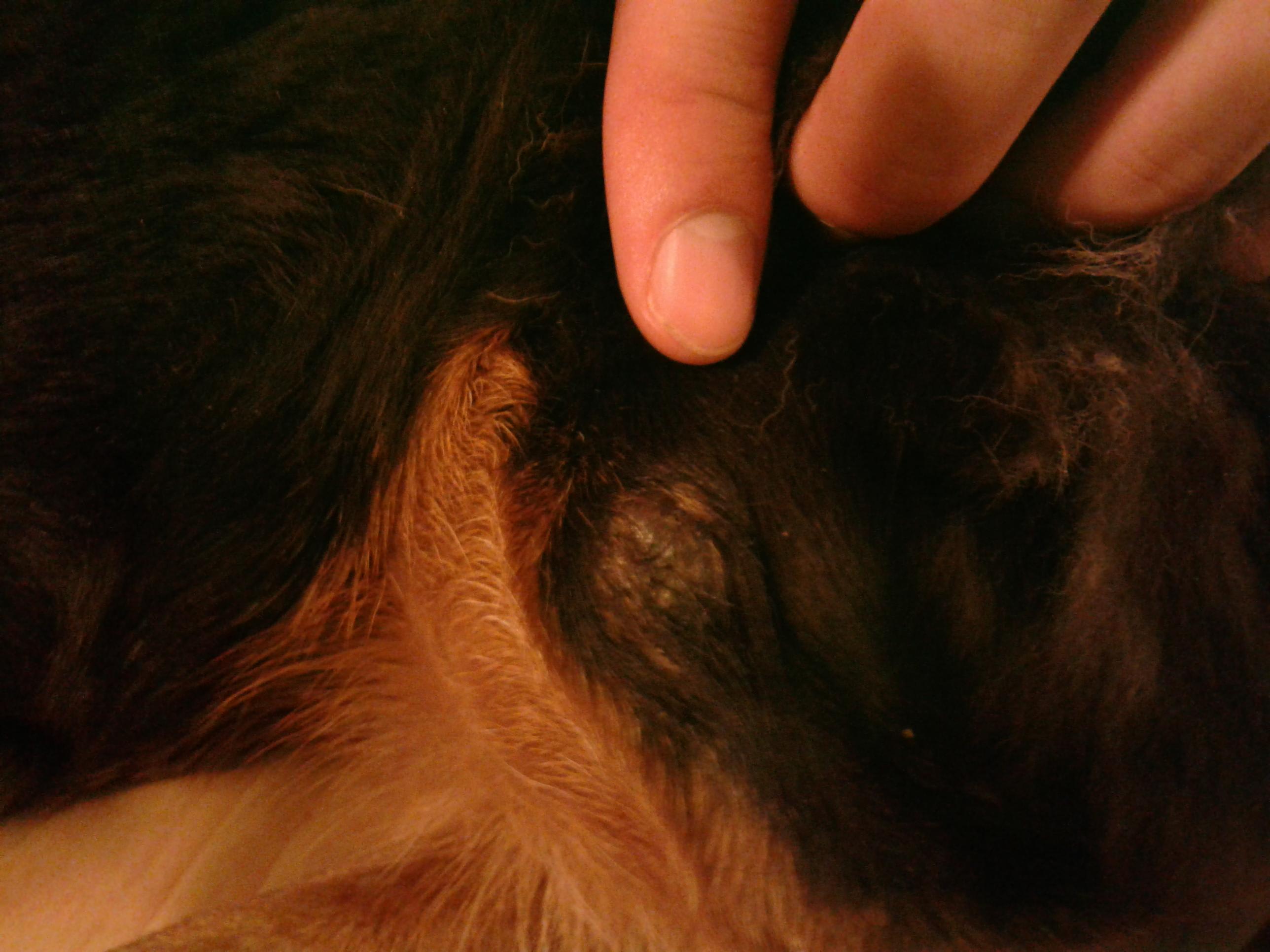 Question details sensitive content