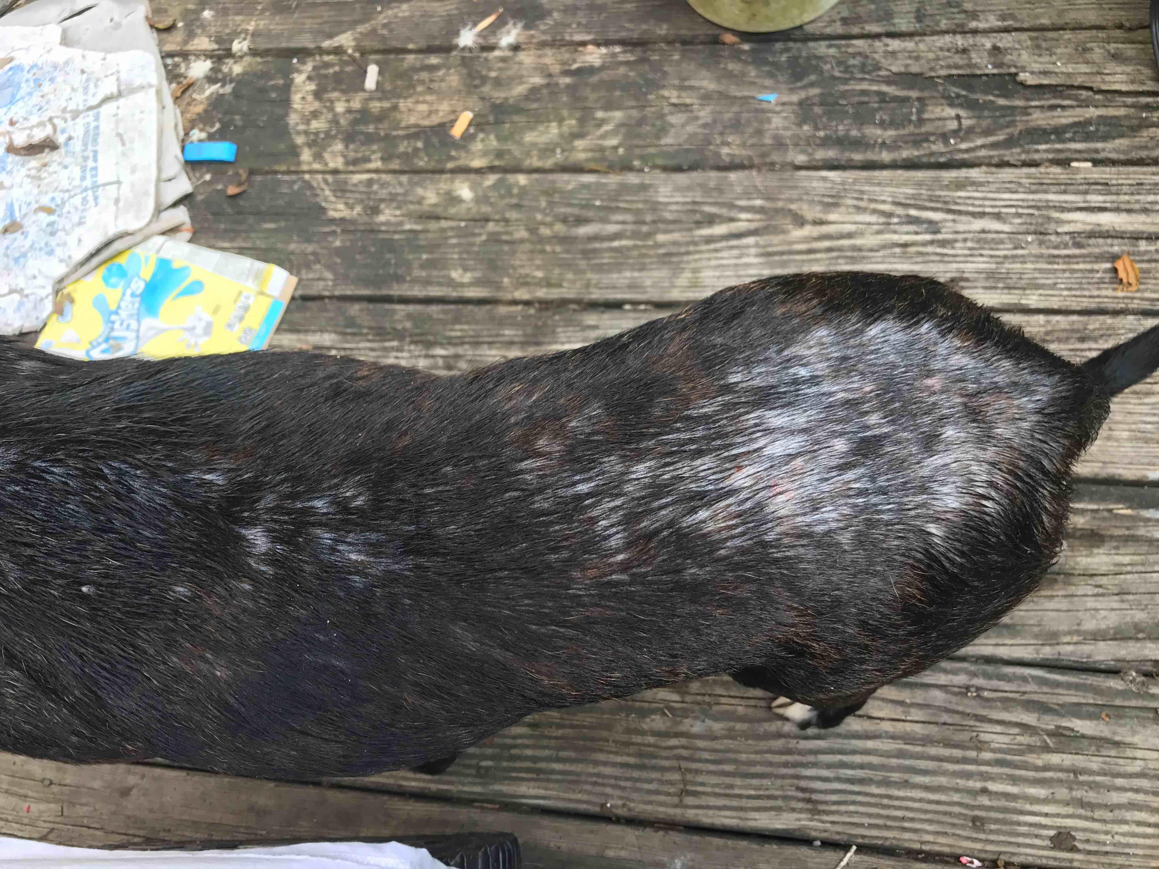 Question details sensitive content