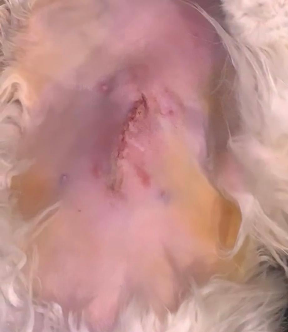 Question details sensitive content