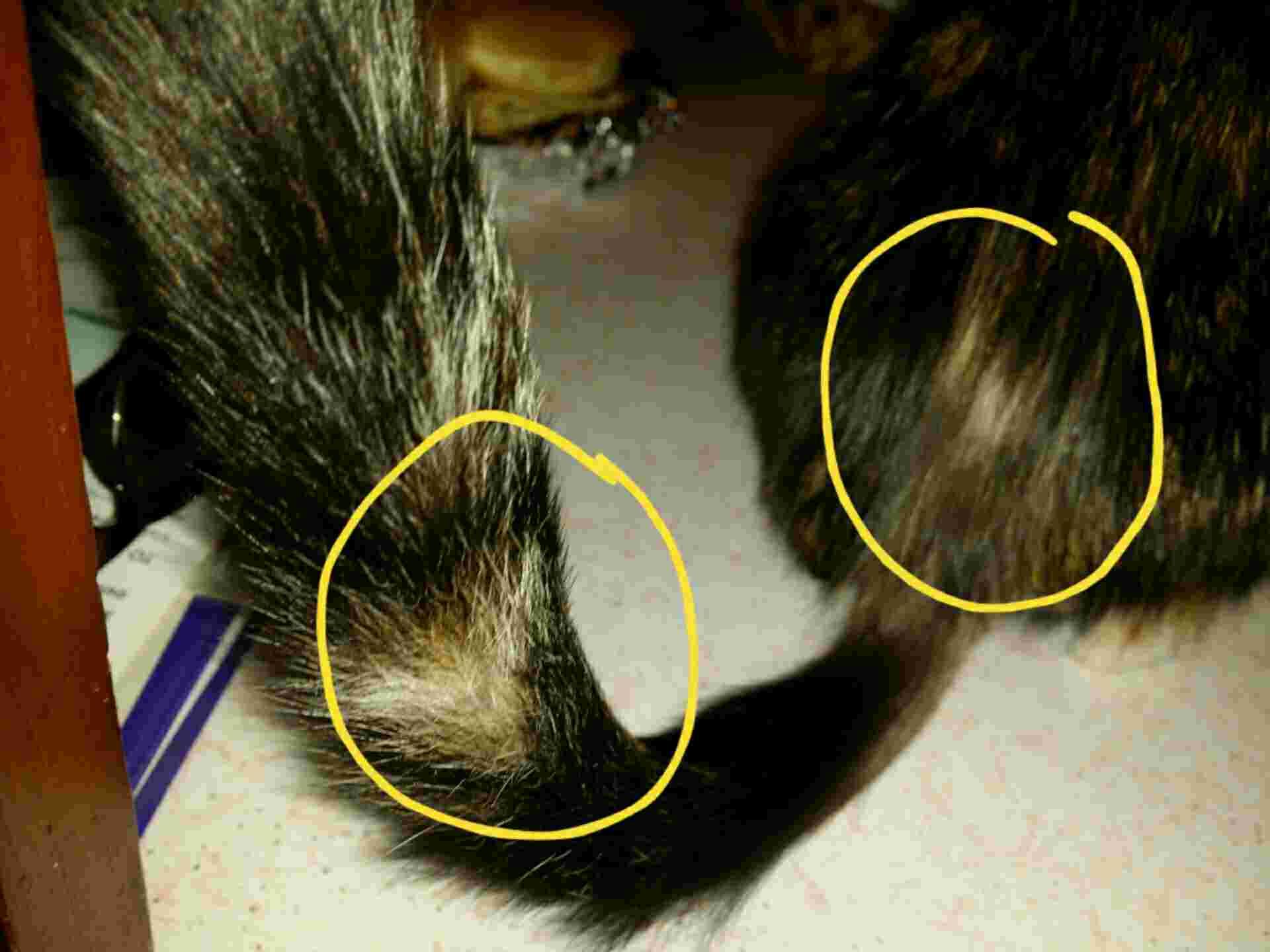 Question details sensitive content