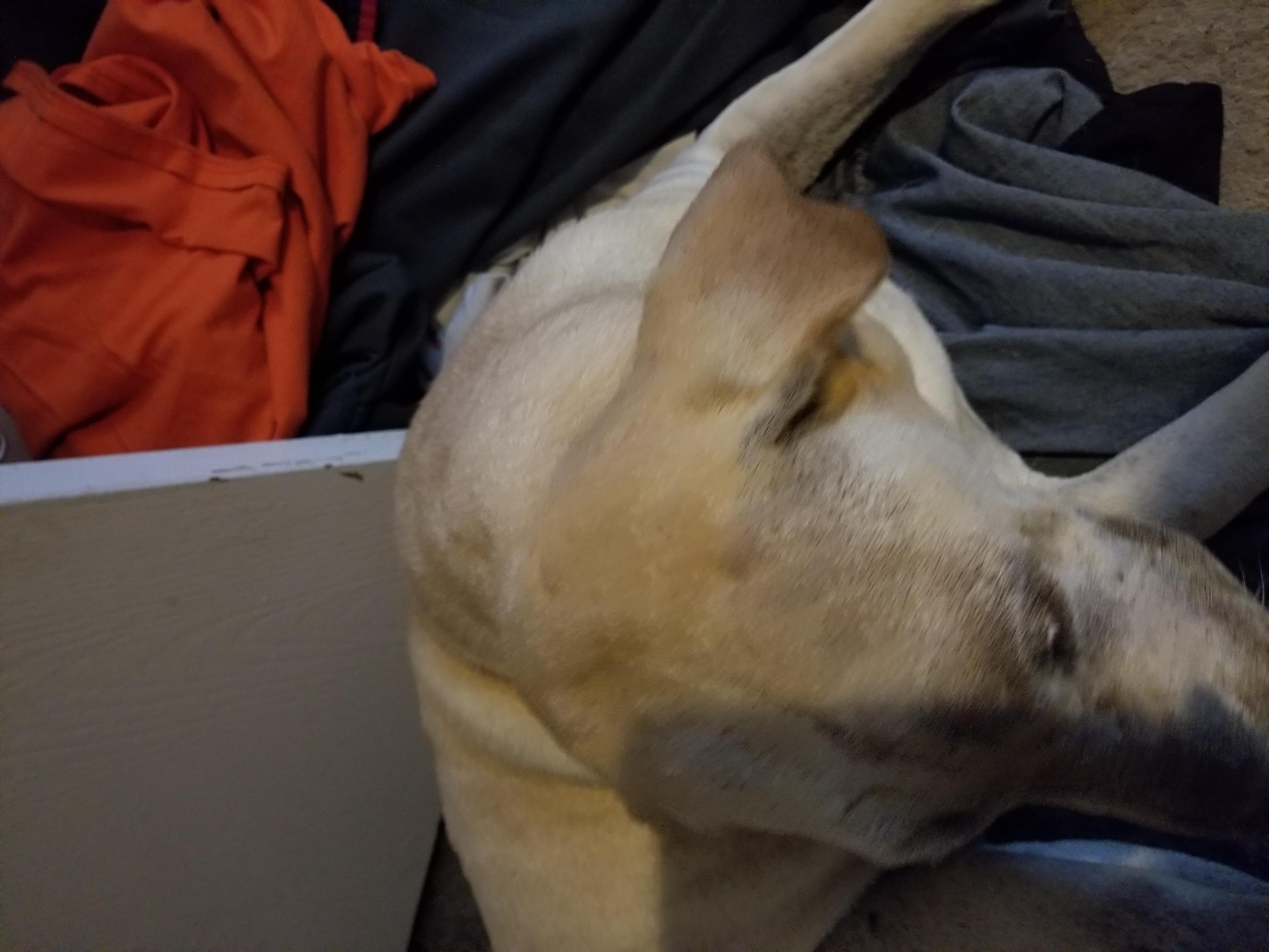 Question details sensitive content