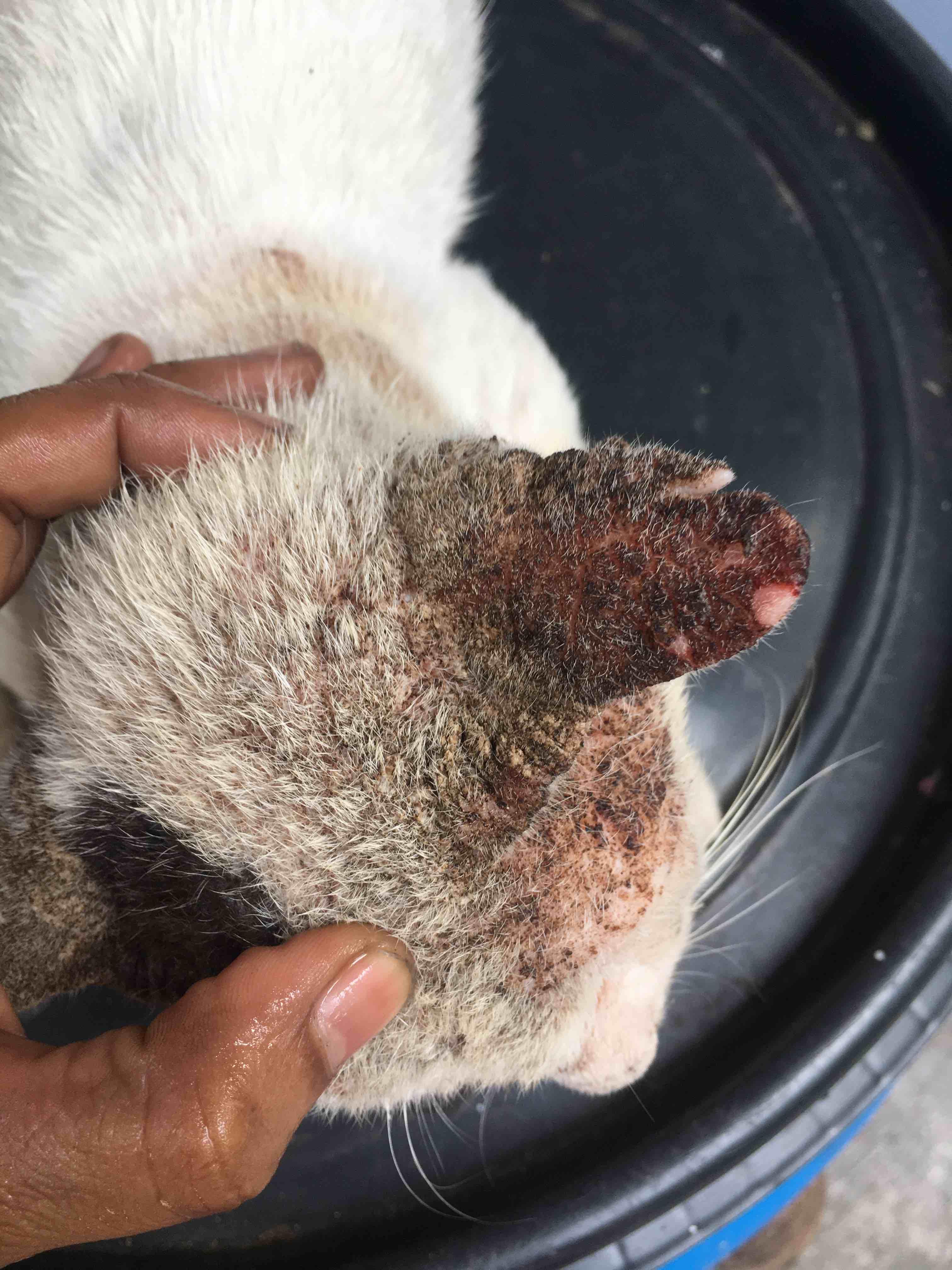 Question details sensitive content