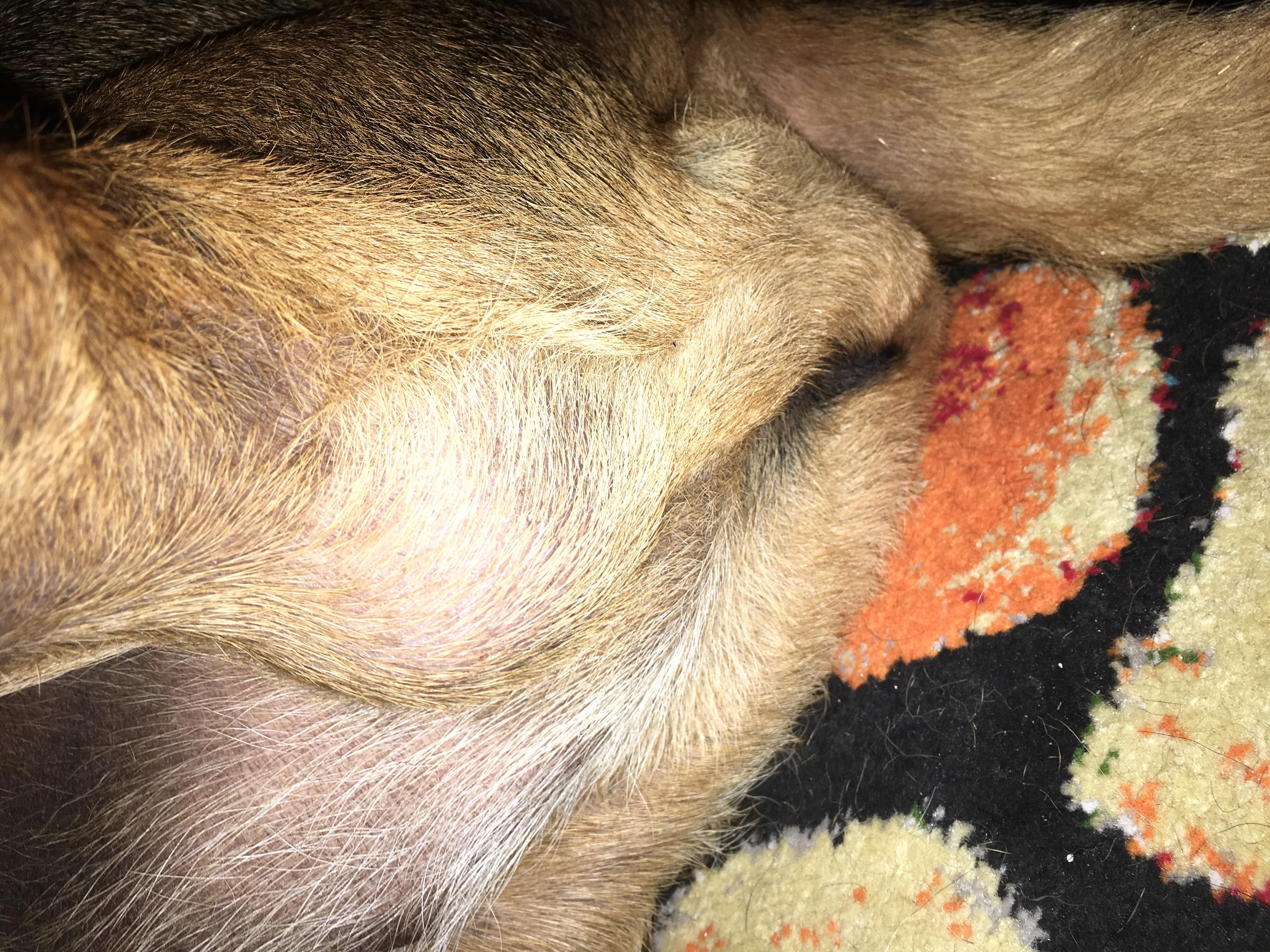 Question details sensitive content