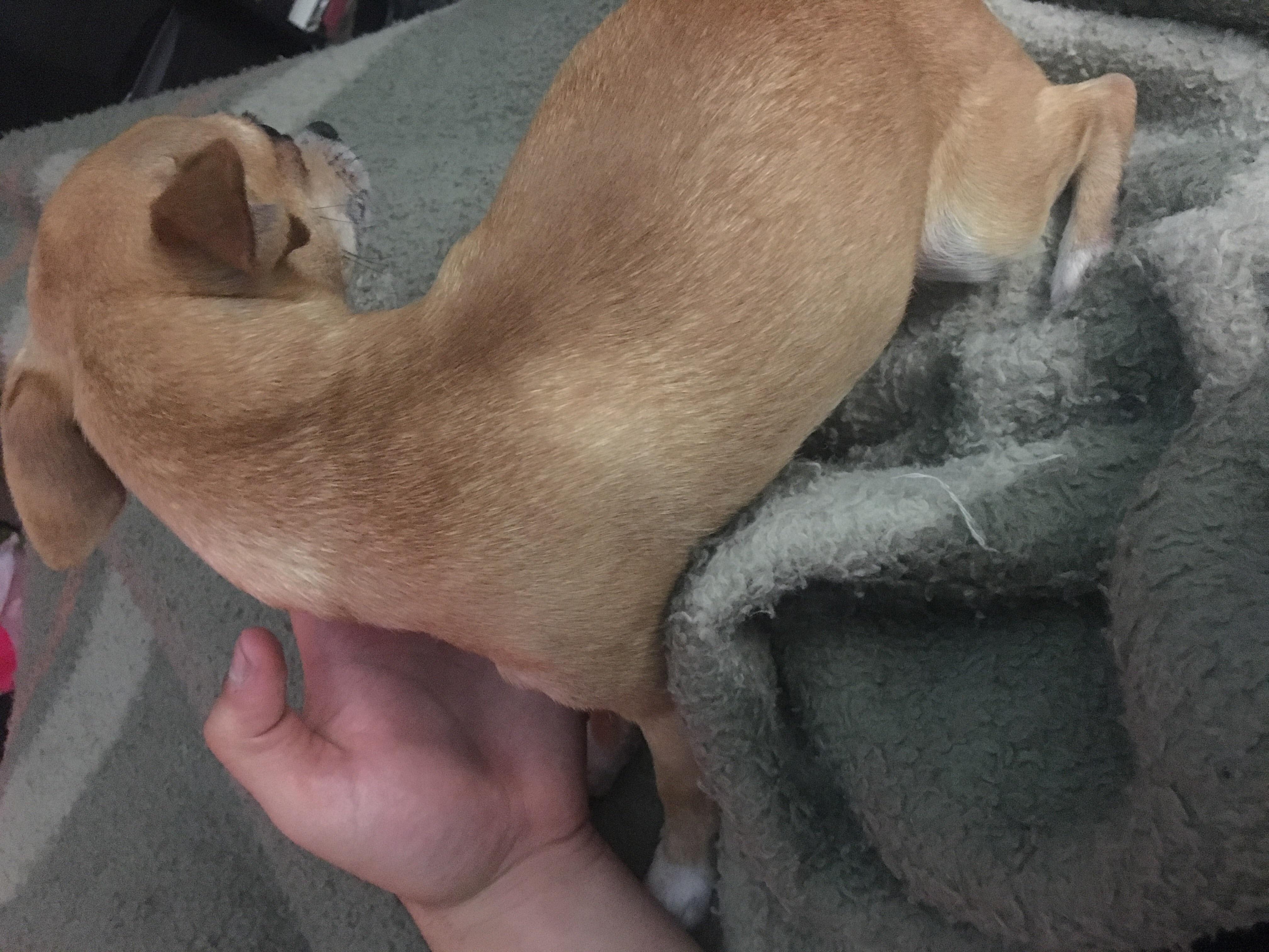 Question details sensitive content