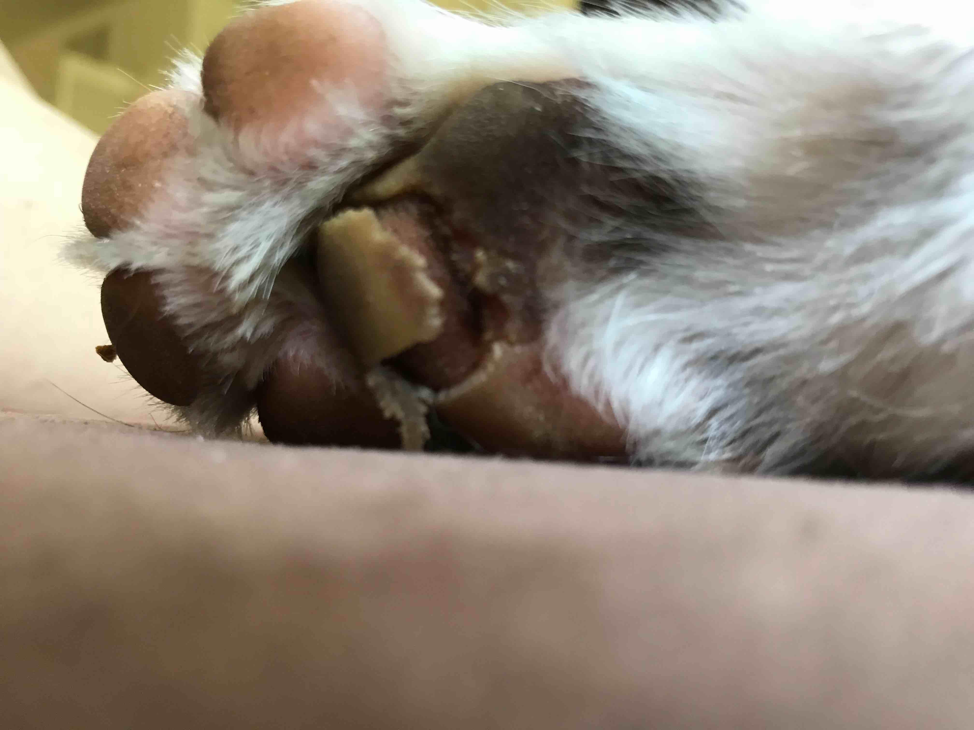 Question details sensitive content